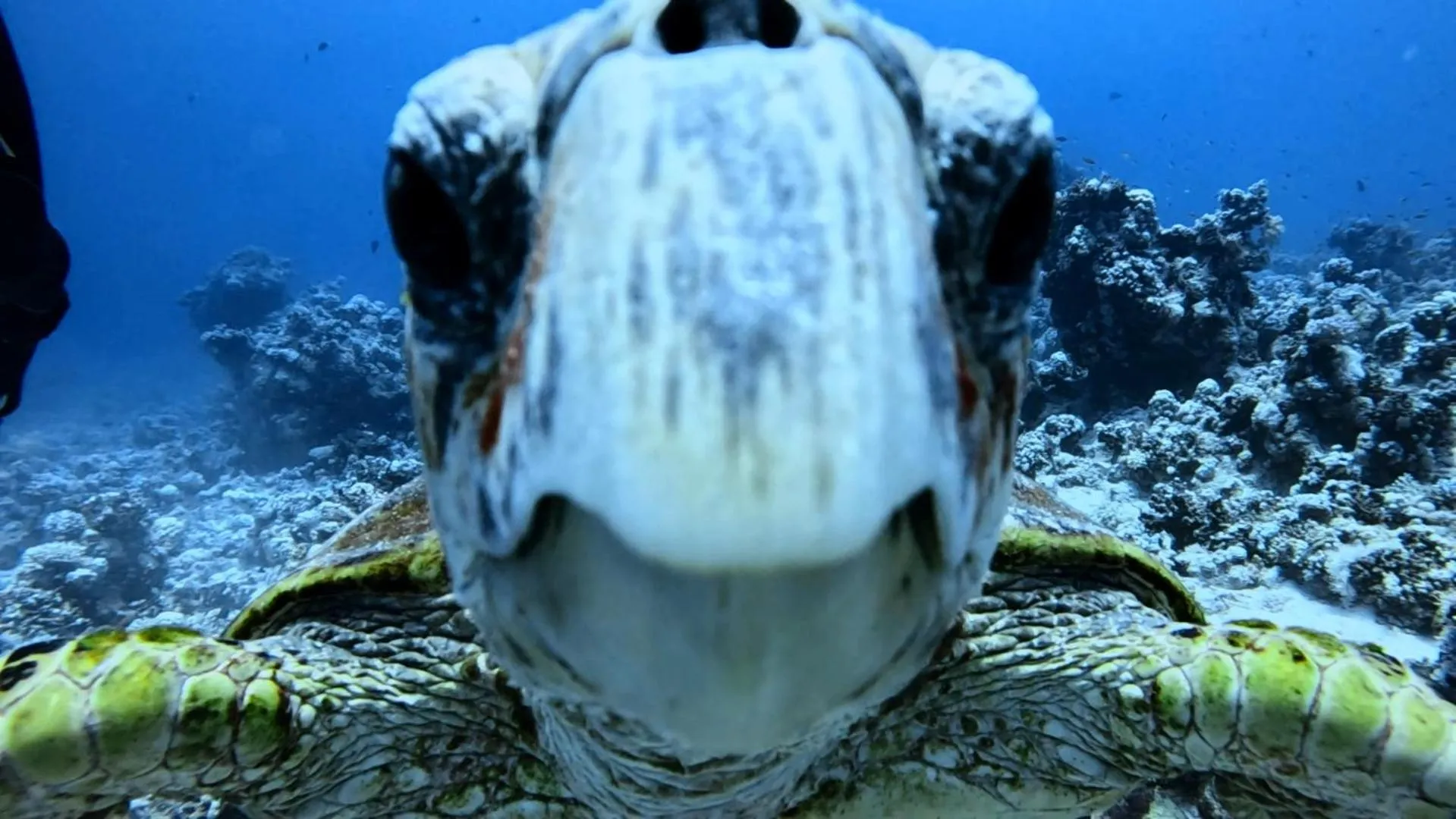 Sports in Star House Hotel