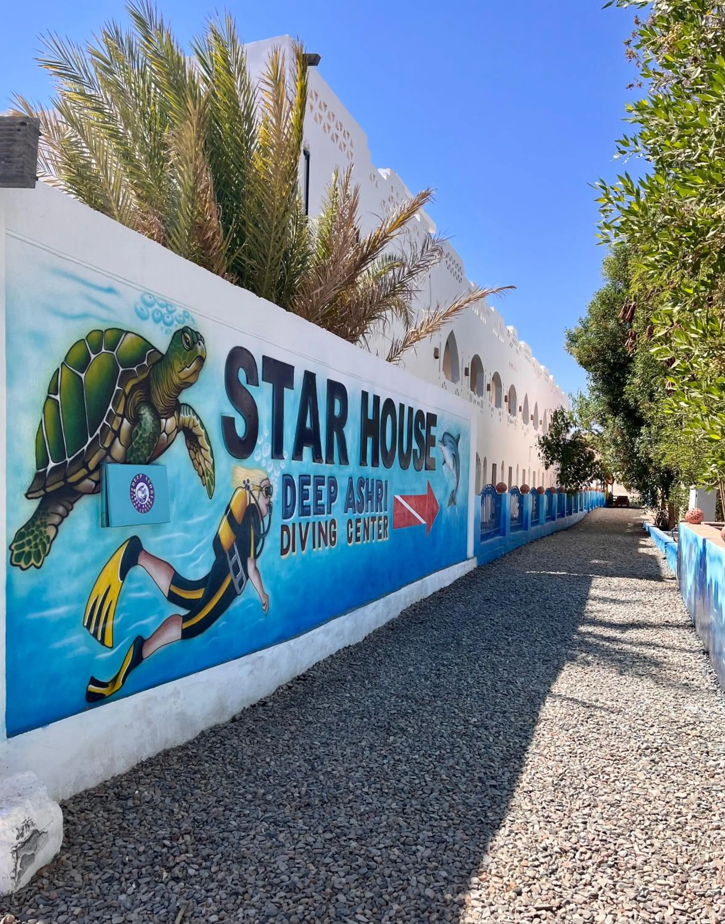 Sports in Star House Hotel