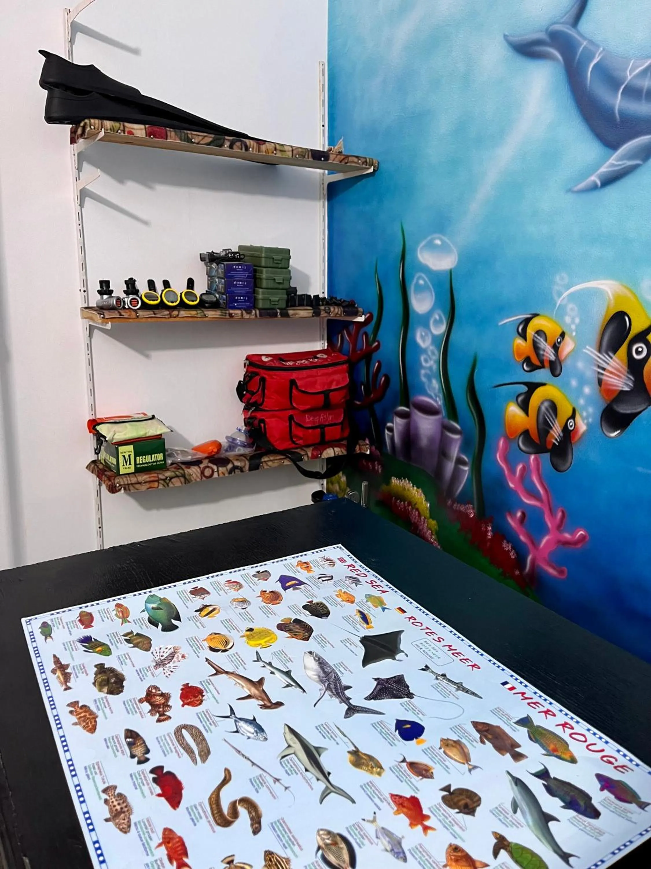 Diving in Star House Hotel