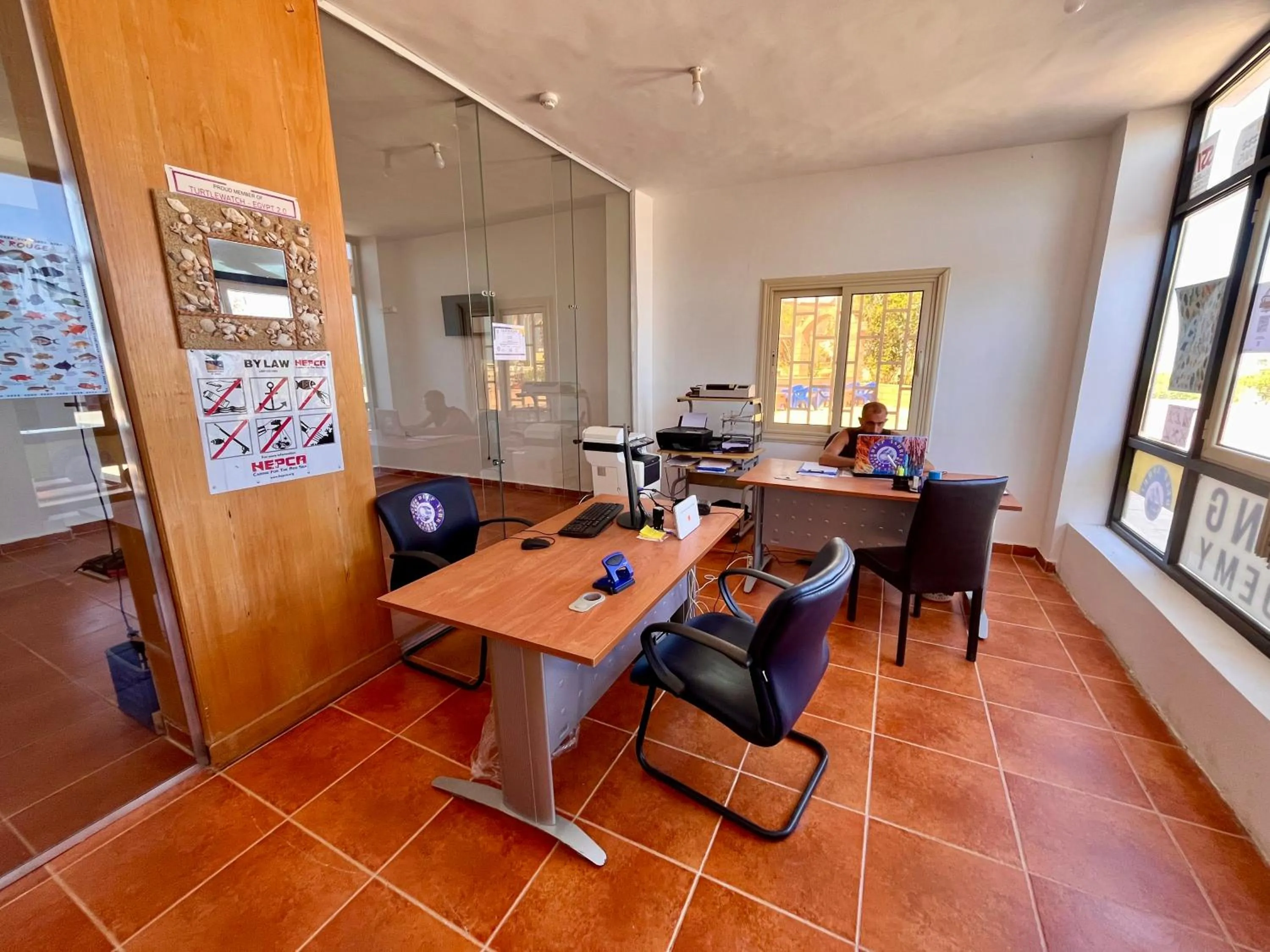 Diving in Star House Hotel