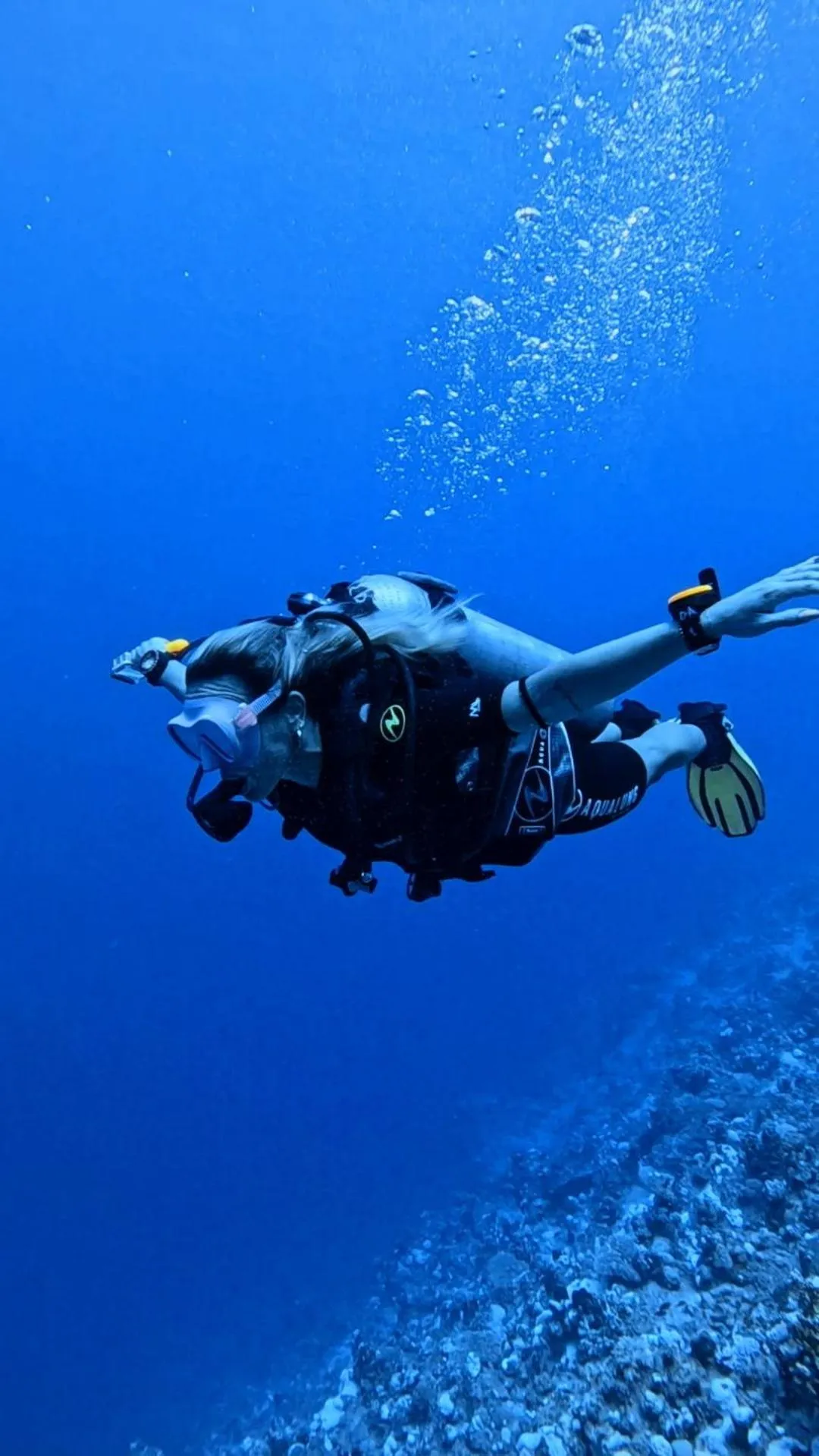 Diving in Star House Hotel