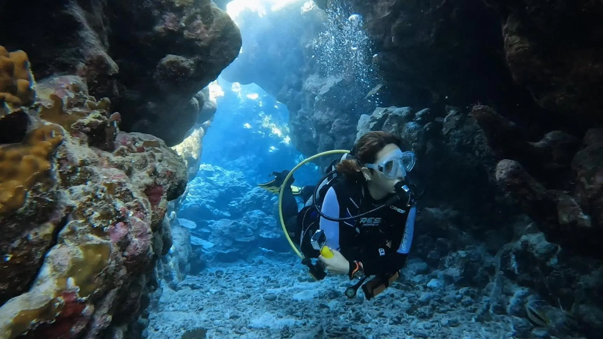 Diving in Star House Hotel