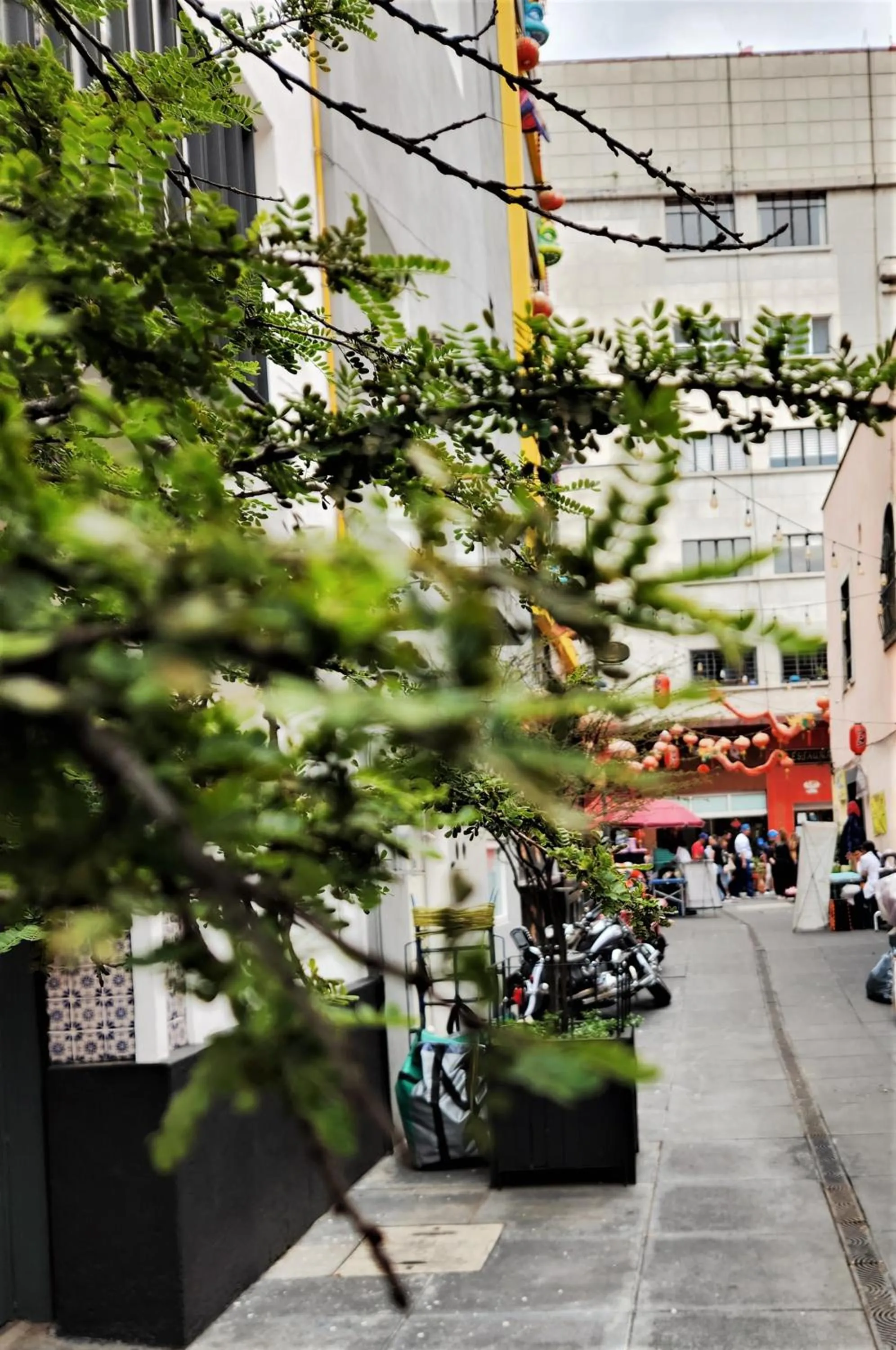 Downtown Ciudad de México