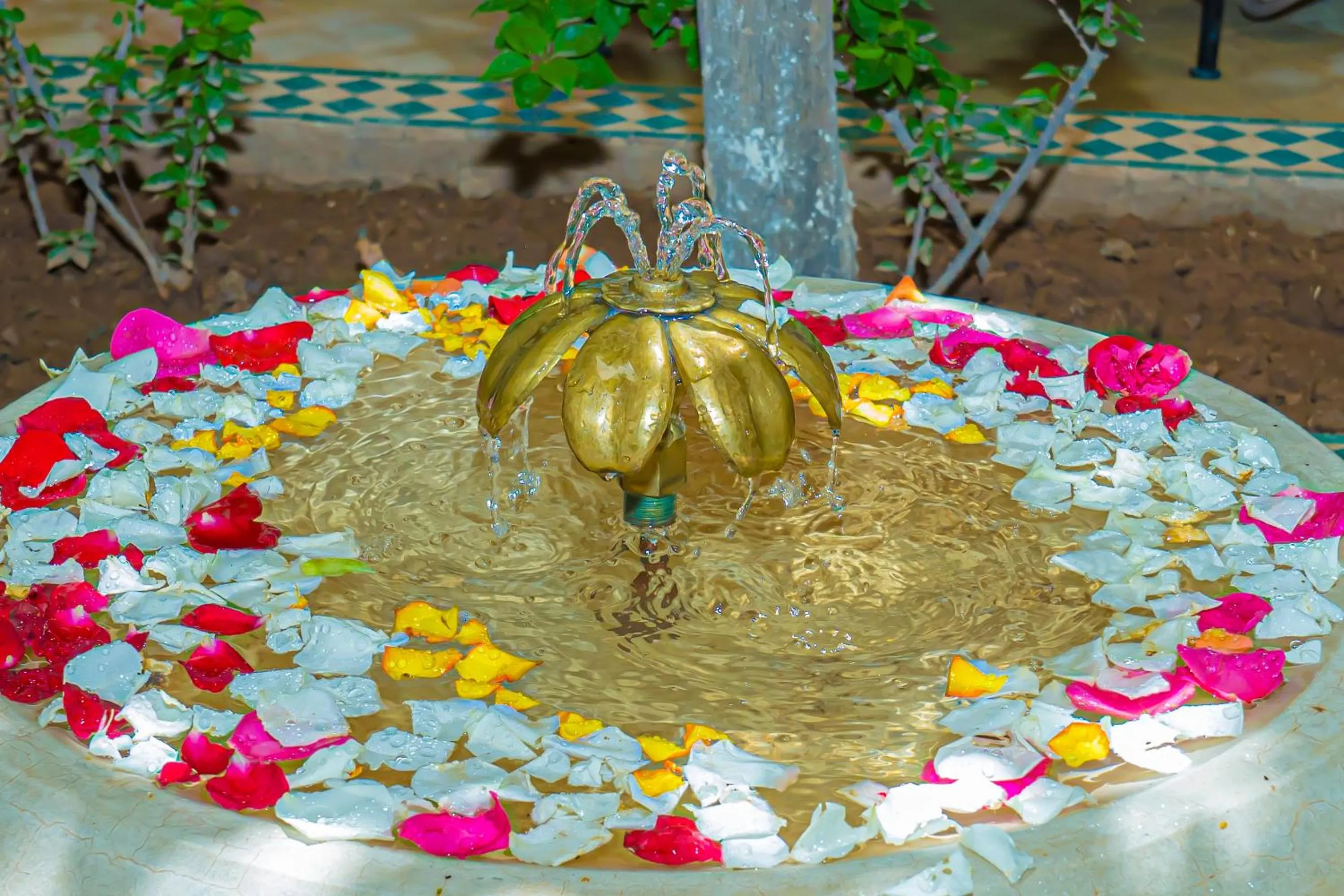 Patio in Riad Dar Zaouia
