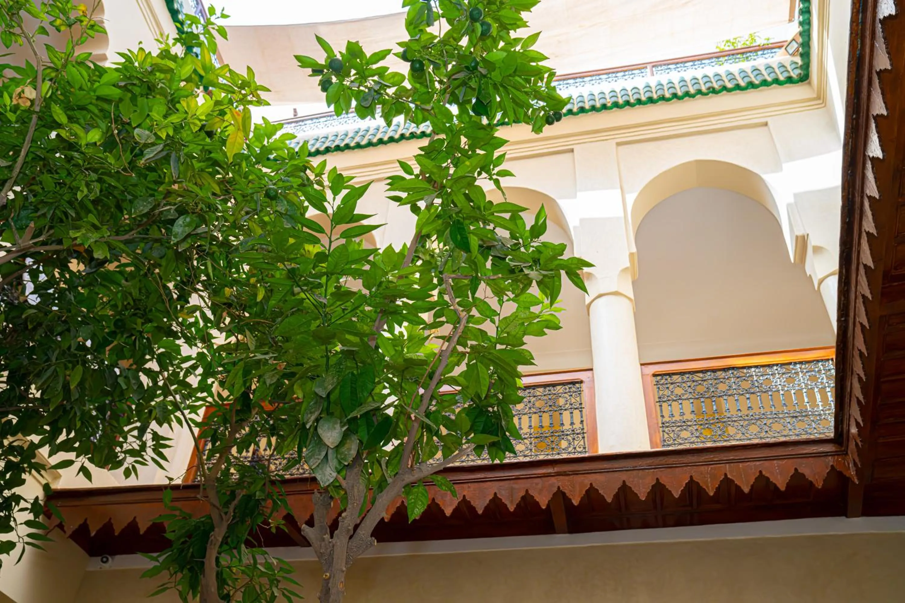 Garden in Riad Dar Zaouia