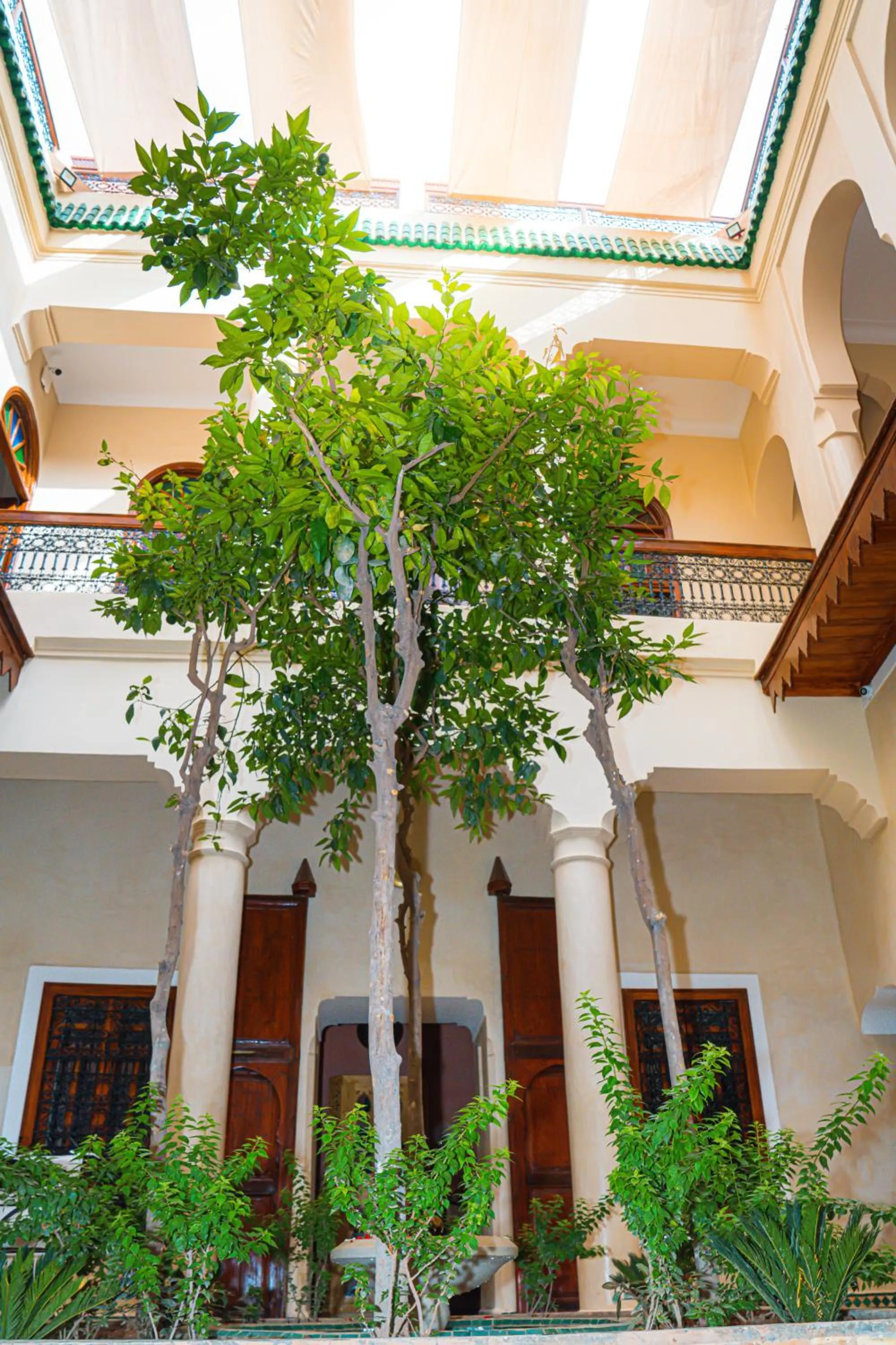 Garden in Riad Dar Zaouia