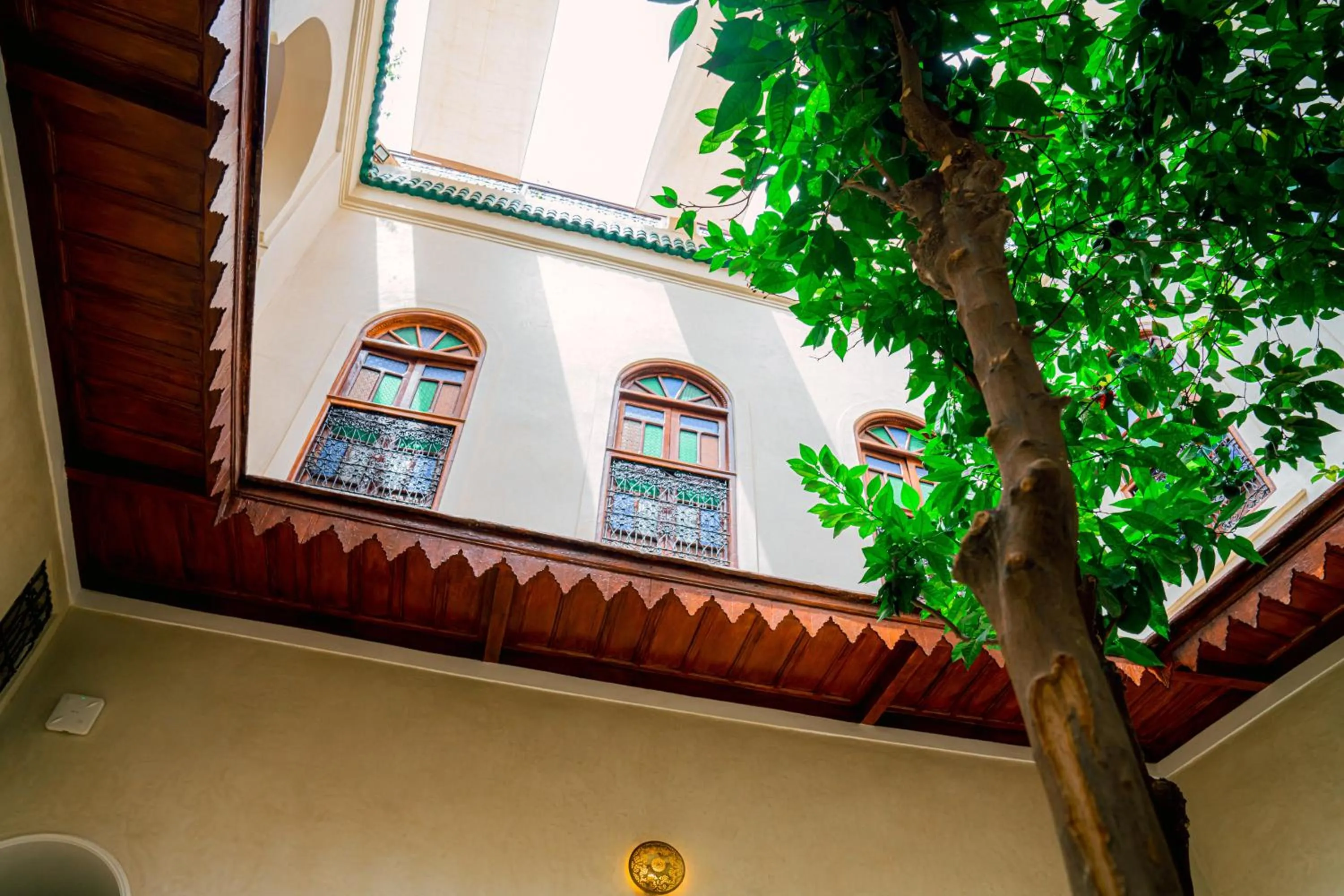 Patio in Riad Dar Zaouia
