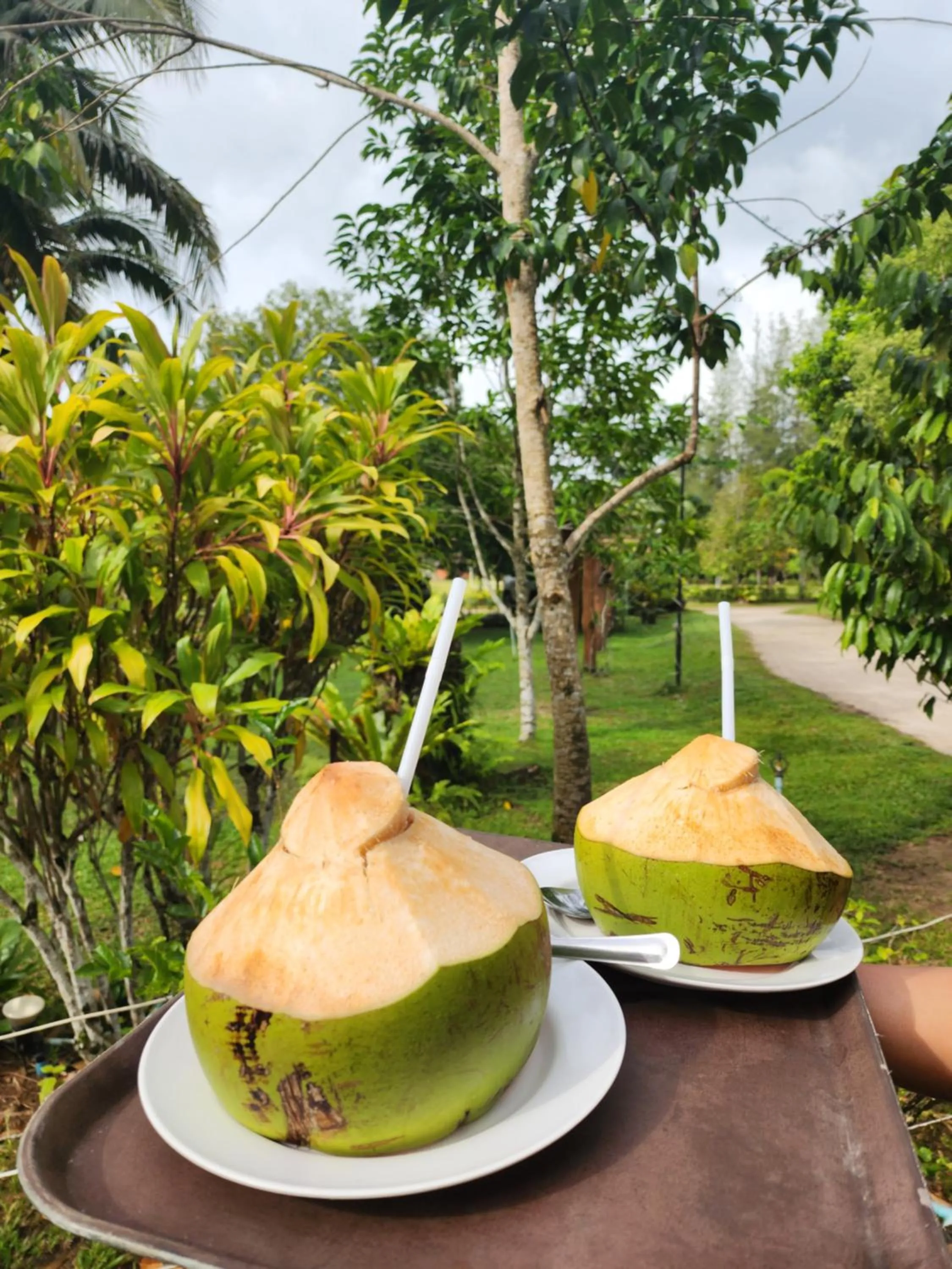 Restaurant/places to eat in Sawasdee Lagoon Camping & Restaurant