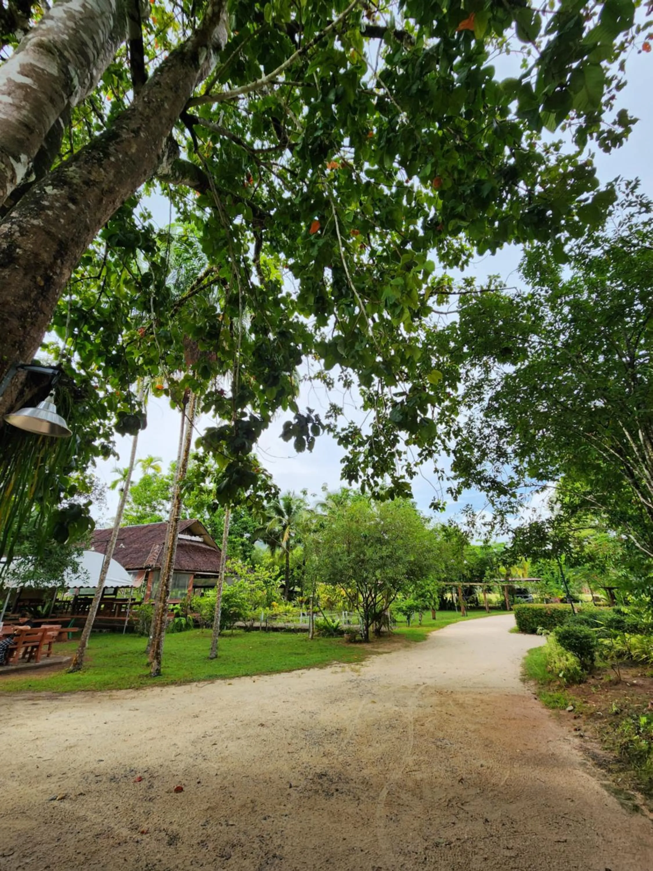Natural landscape in Sawasdee Lagoon Camping & Restaurant