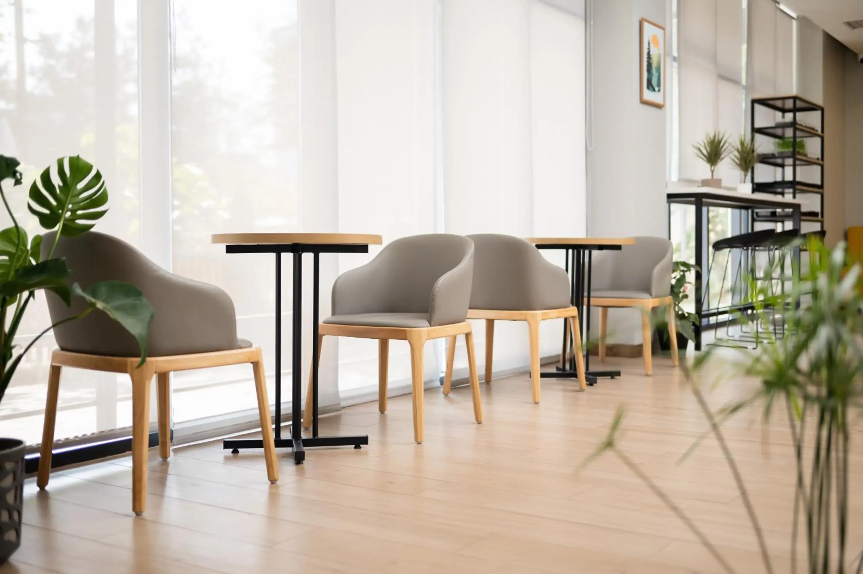 Freedom hotel Bishkek Freedom hotel Bishkek