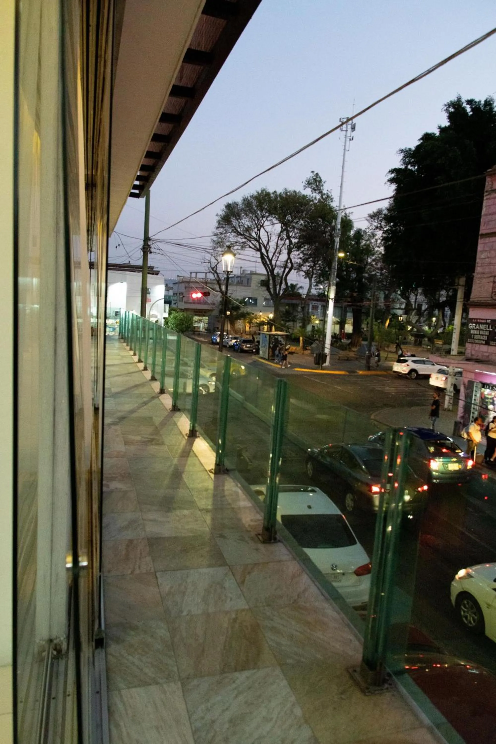 Garden view in HVH by Yaxché