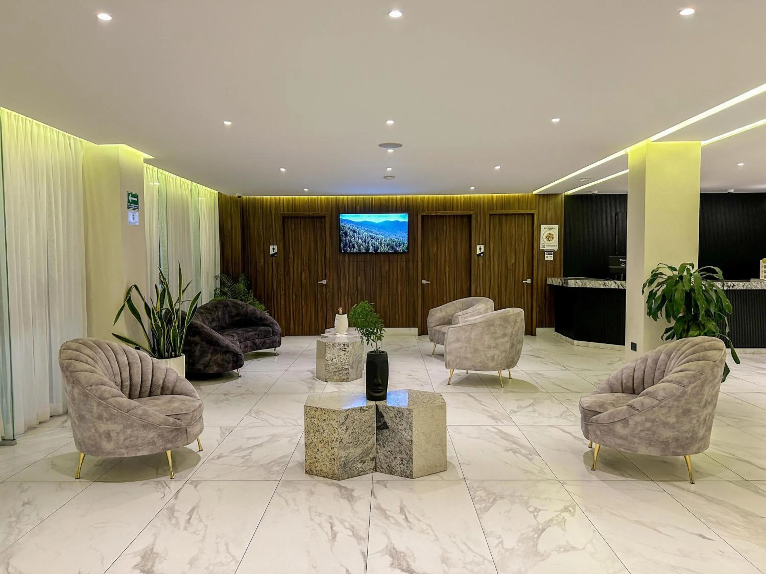 TV and multimedia in HVH by Yaxché