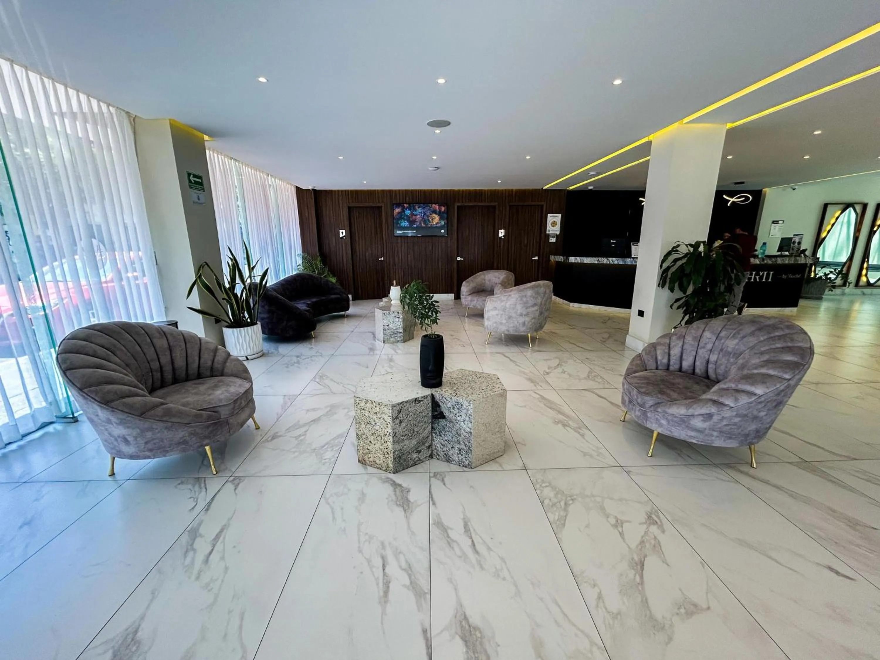 TV and multimedia in HVH by Yaxché