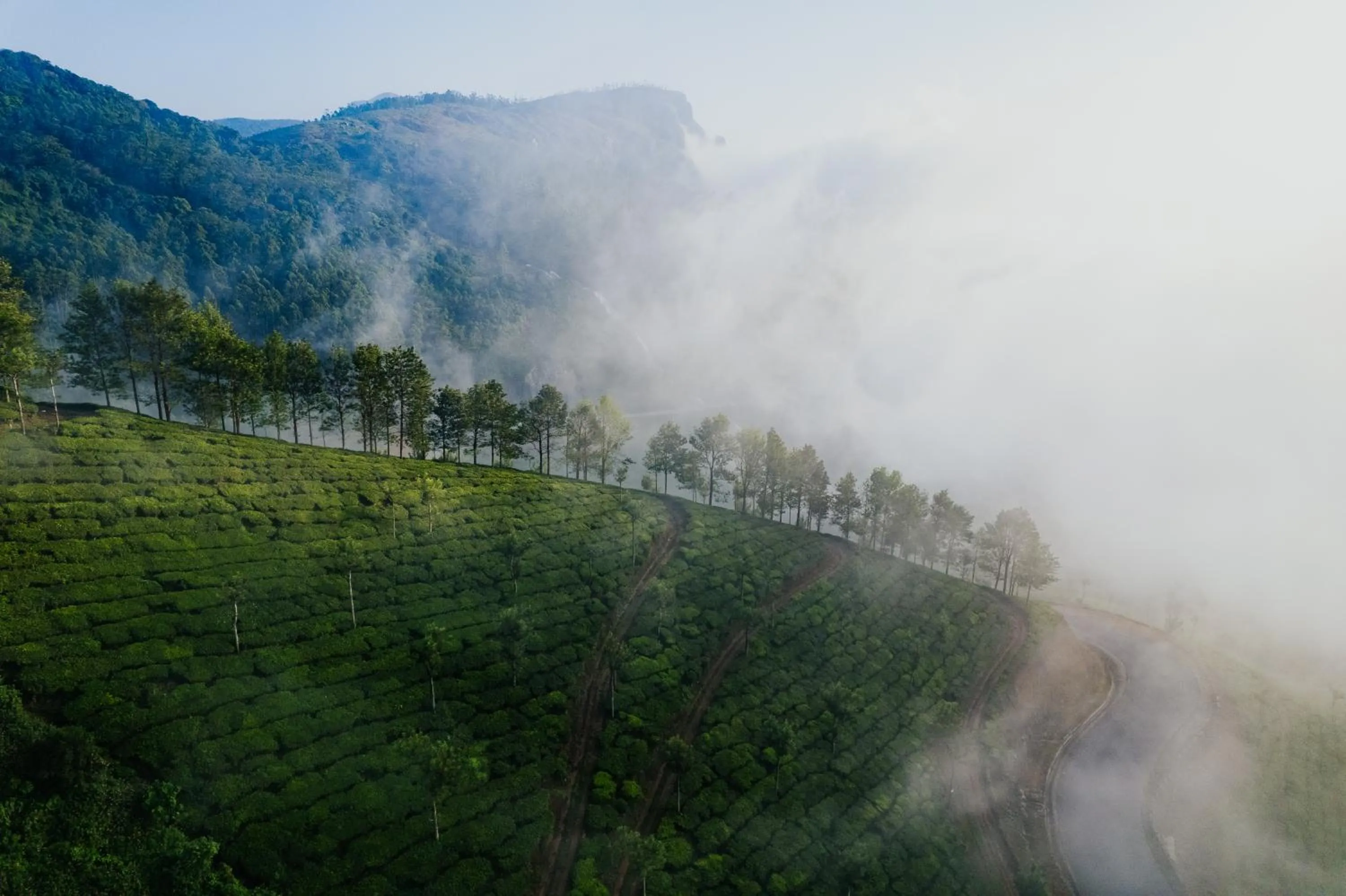 Spring in Misty Courtyard Resort