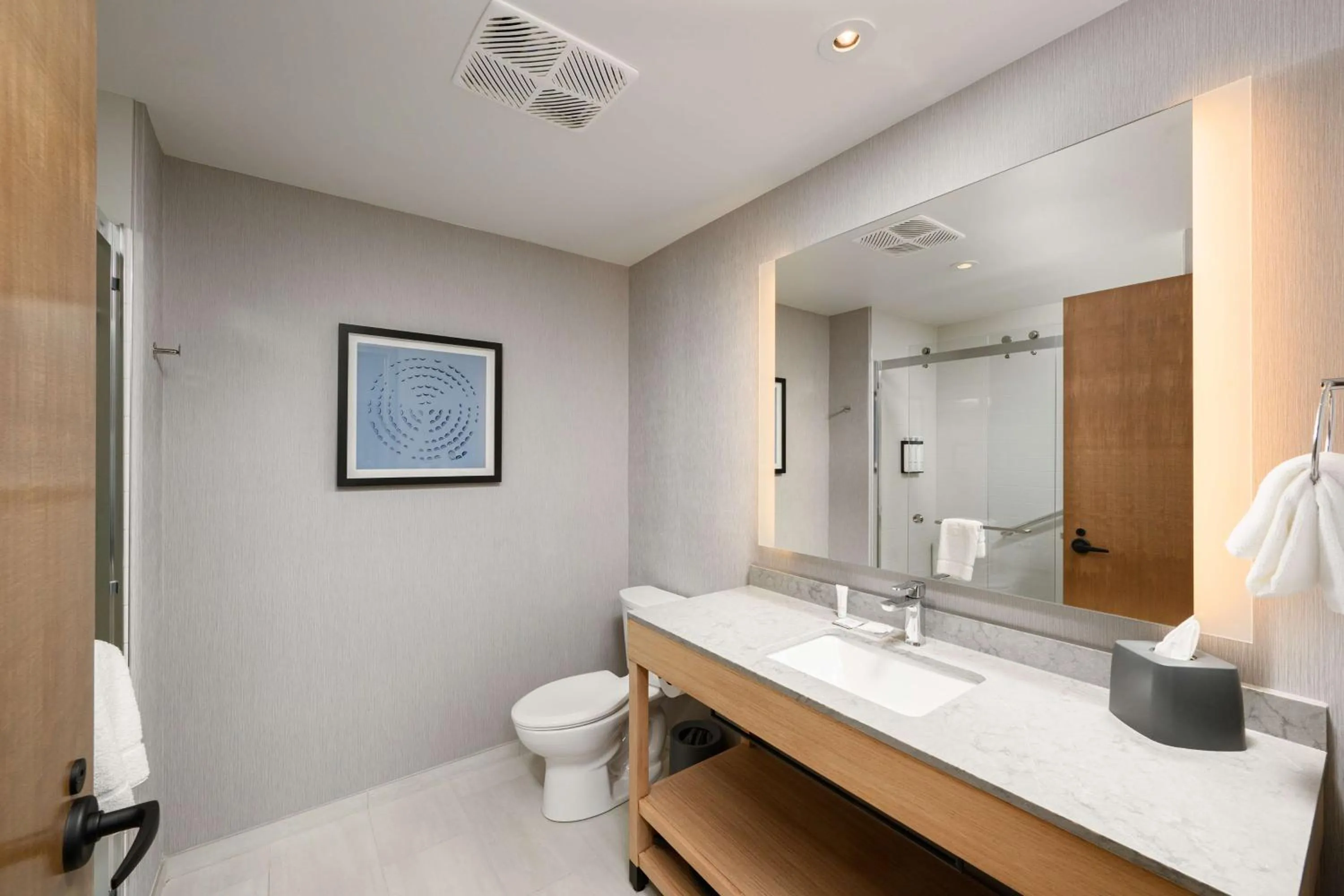 Bathroom in Hyatt Place Albany Downtown