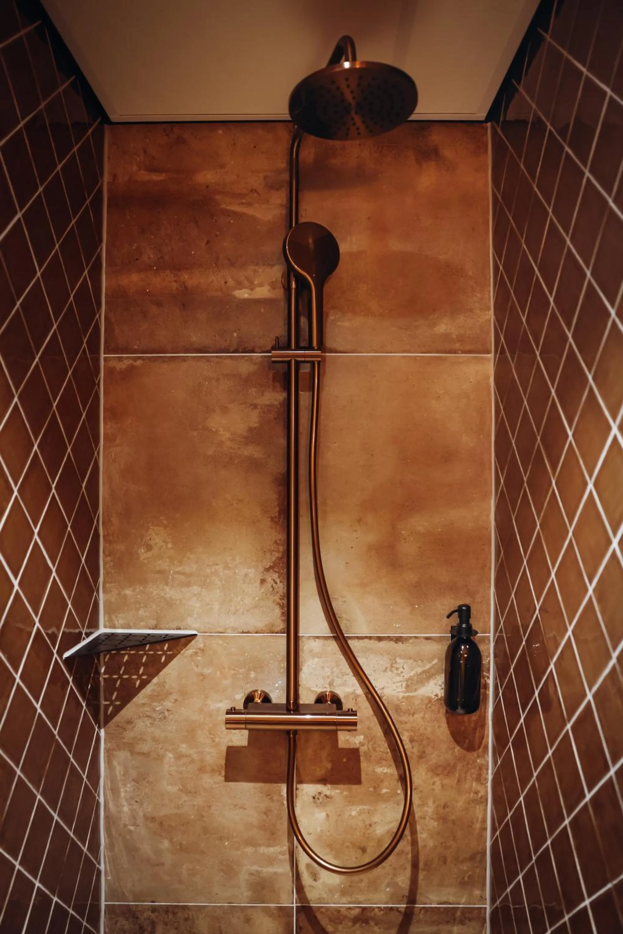 Shower in Hajé Nieuwegein