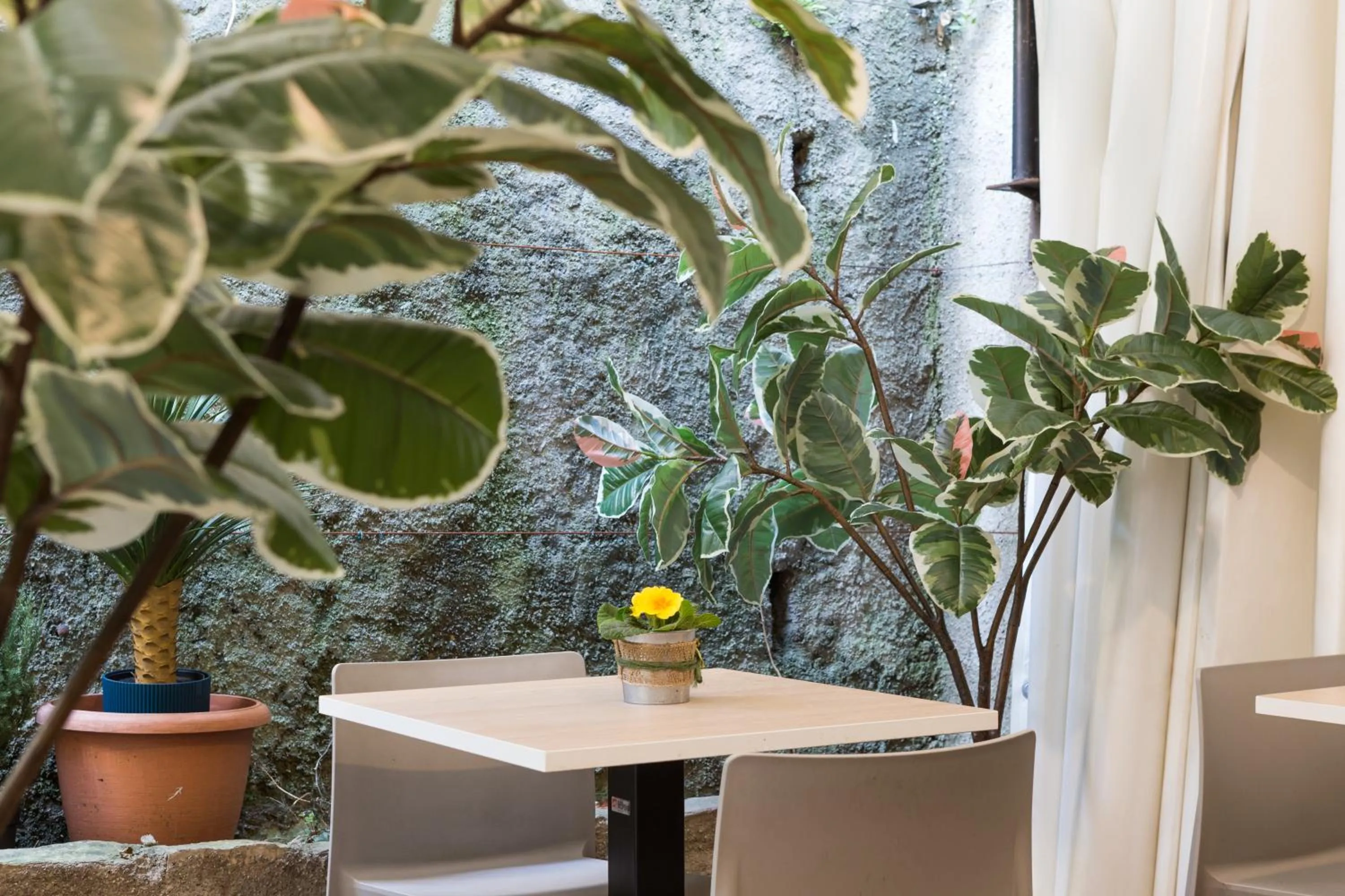 Garden in The Convo Lake Como