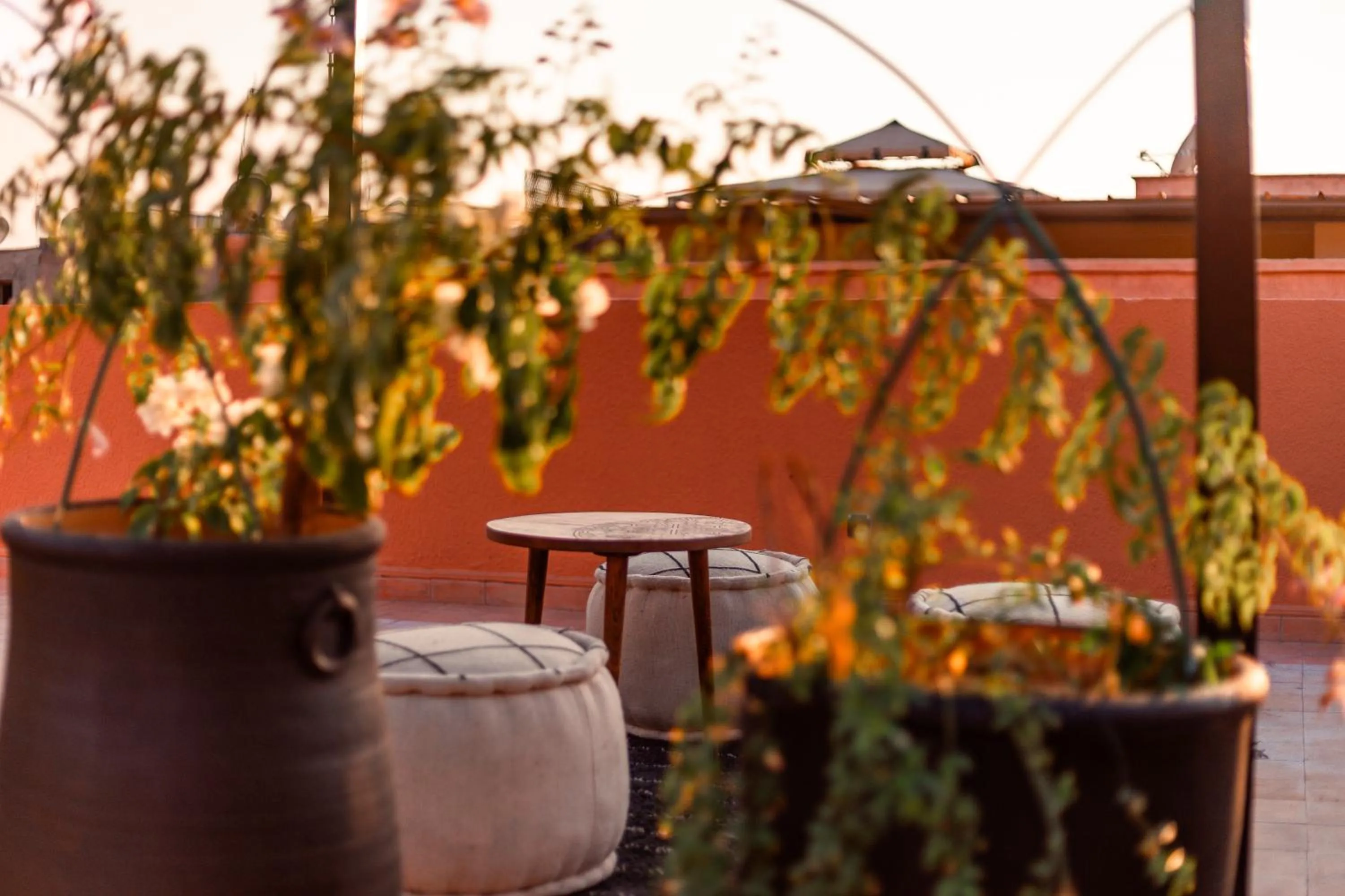 Balcony/Terrace in Riad L'ECOLE