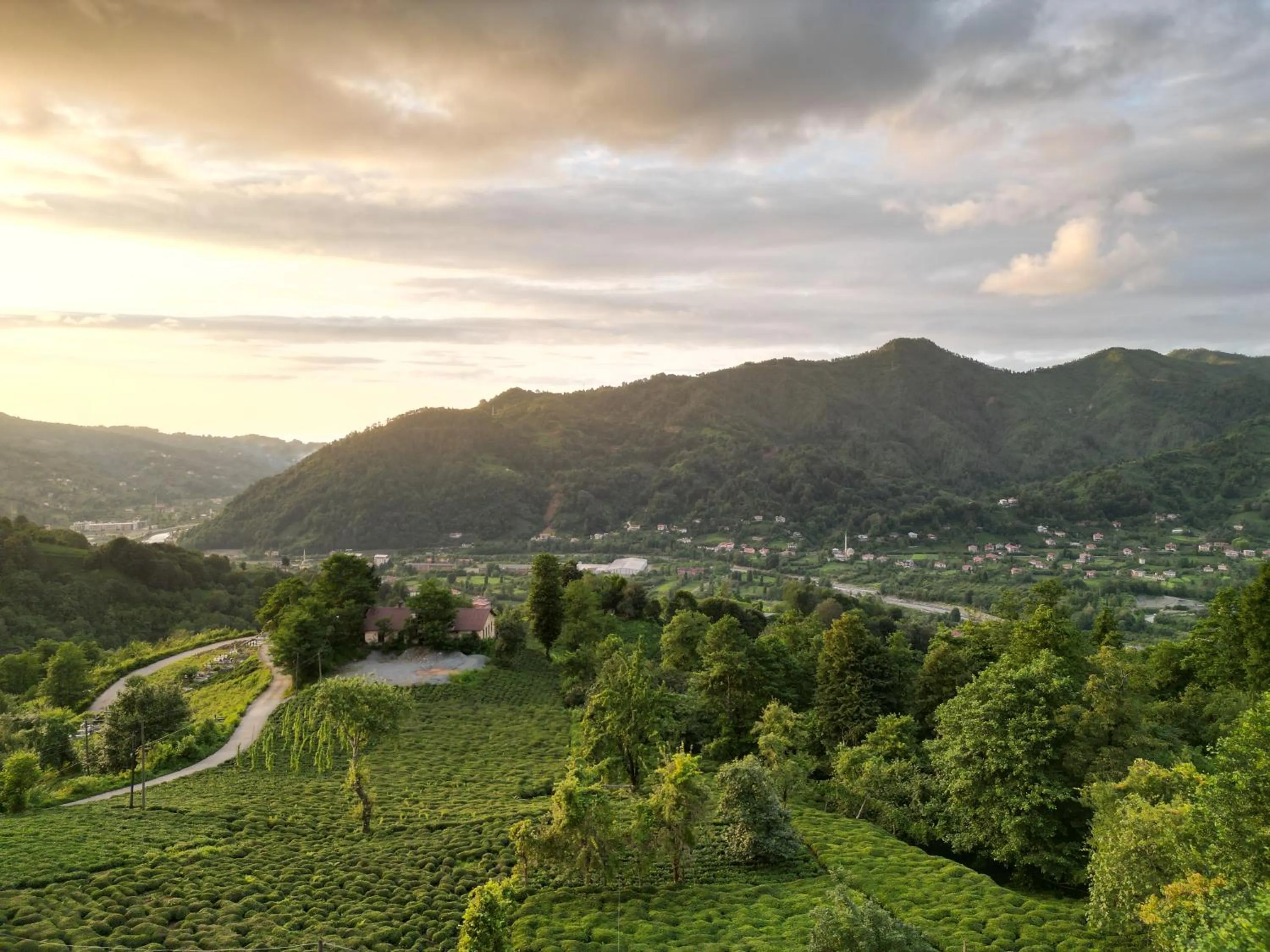 Mountain view in Neyla Suit Bungalow