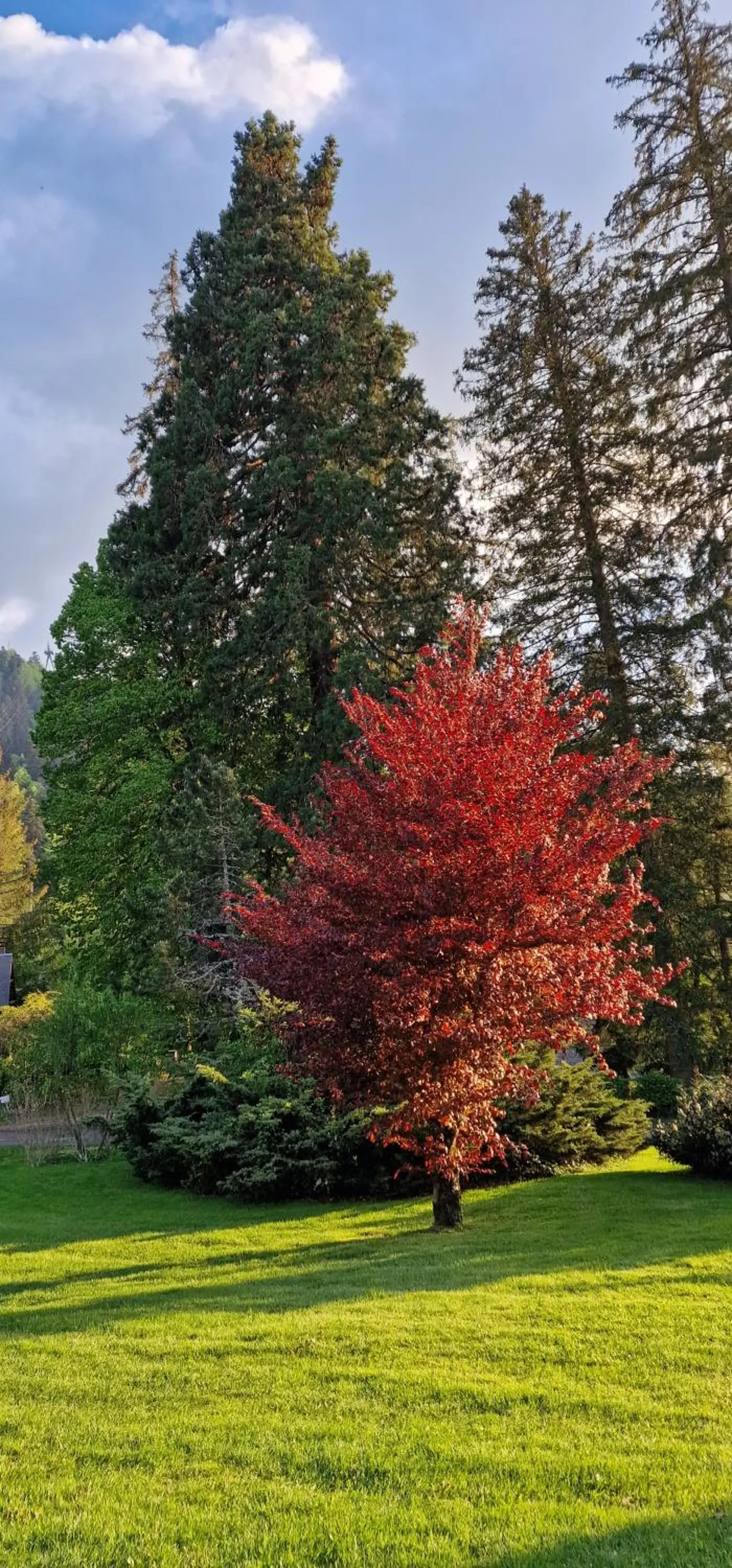 Day in Hotel ChezJeanne