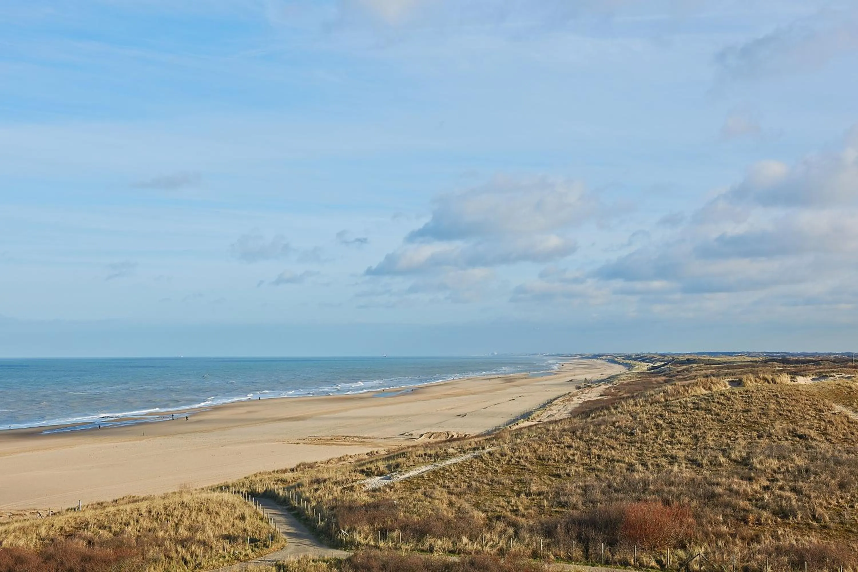 Natural landscape in Carlton Beach