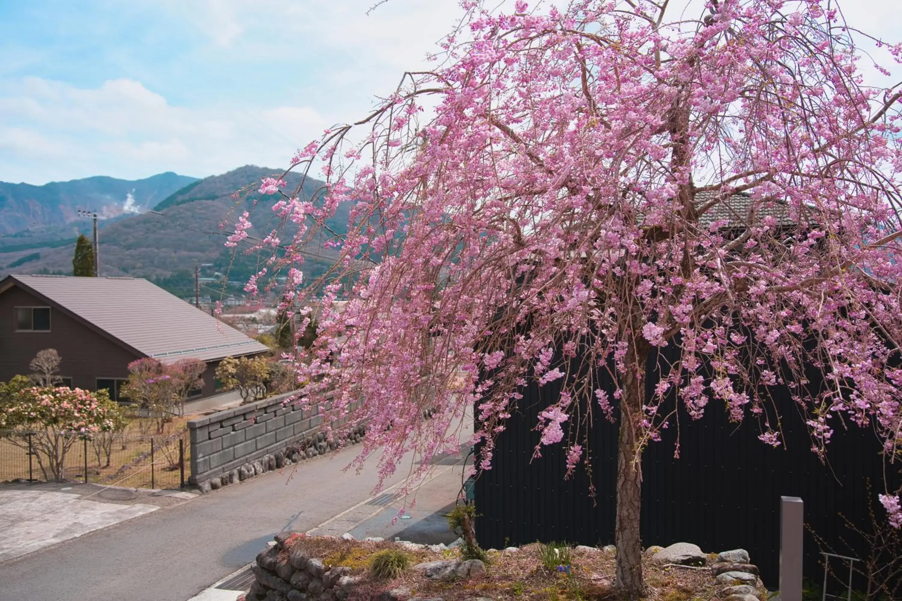 Spring in root hakone Spring in root hakone