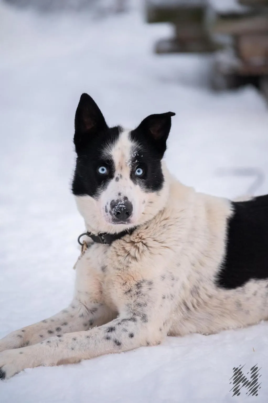 Activities in Nova Galaxy Village