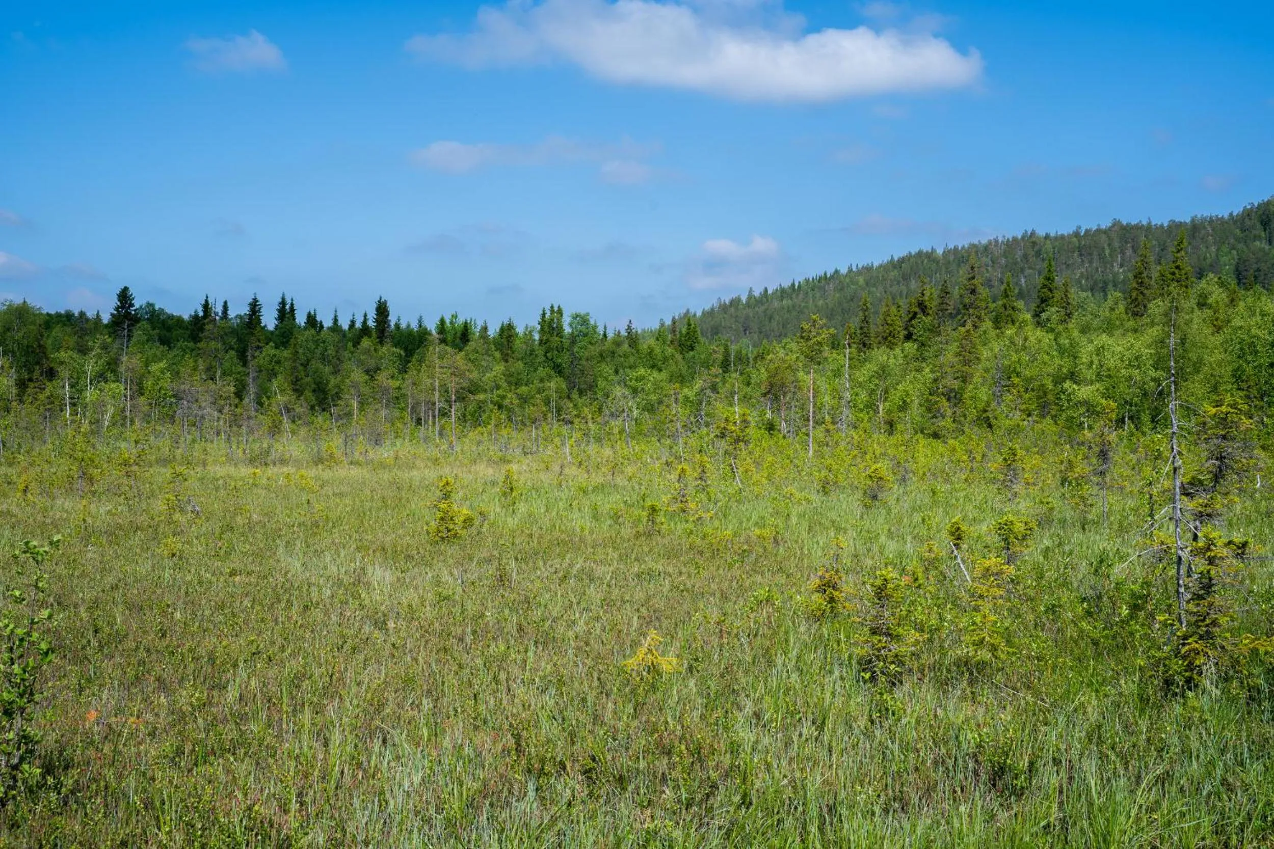 Natural landscape in Nova Galaxy Village