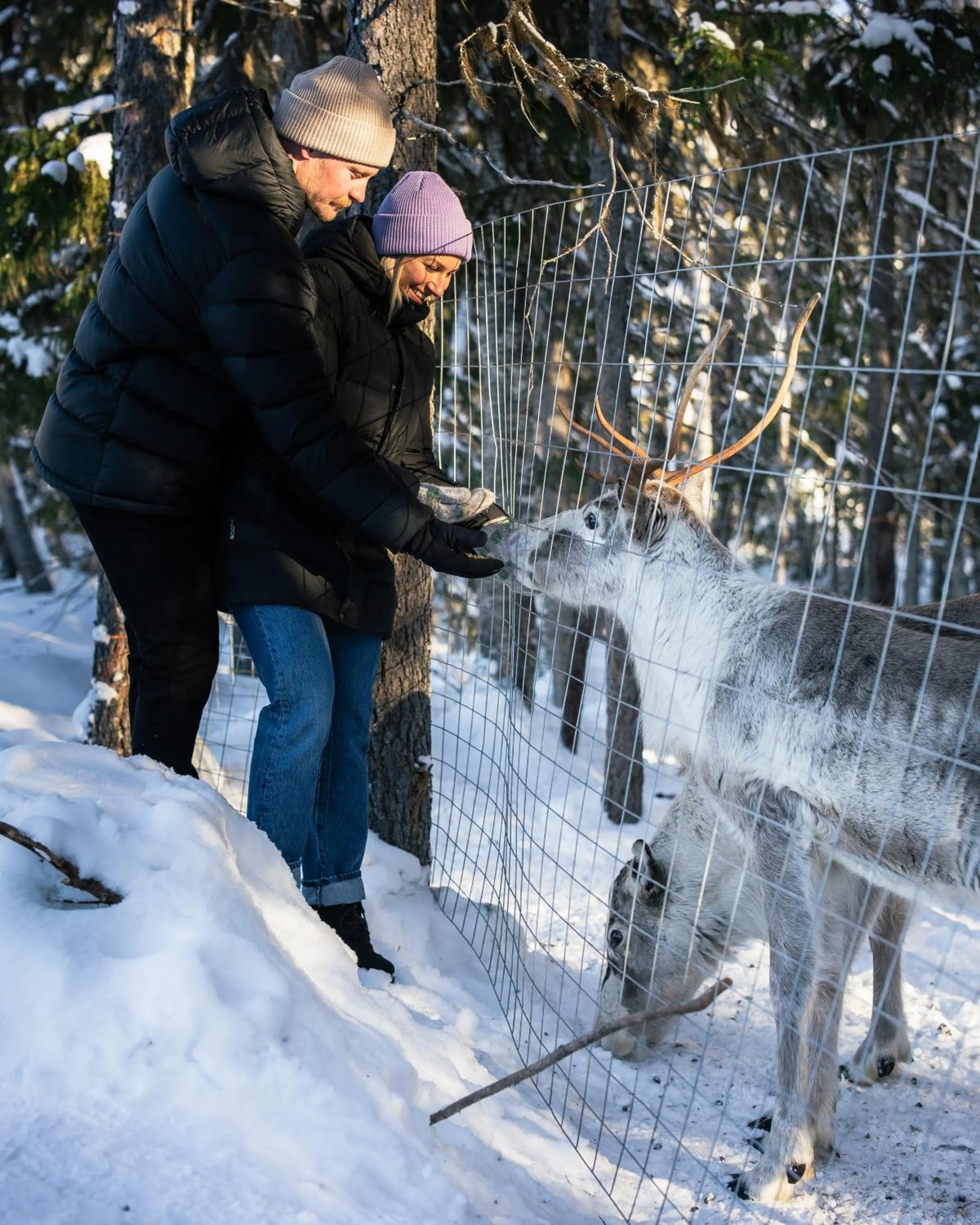 Day in Nova Galaxy Village