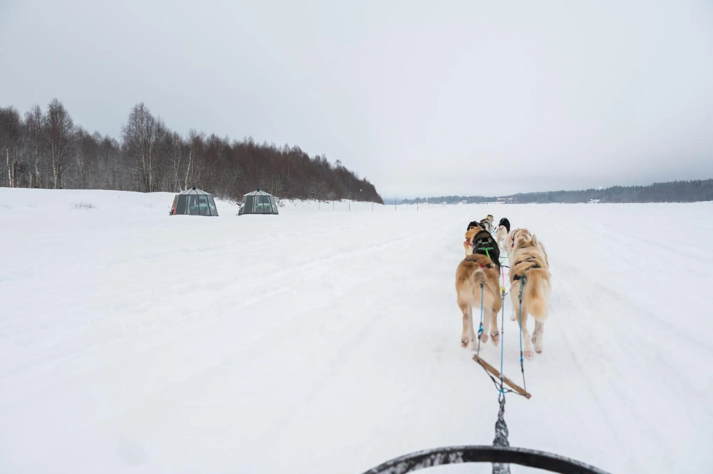 Activities in Nova Galaxy Village