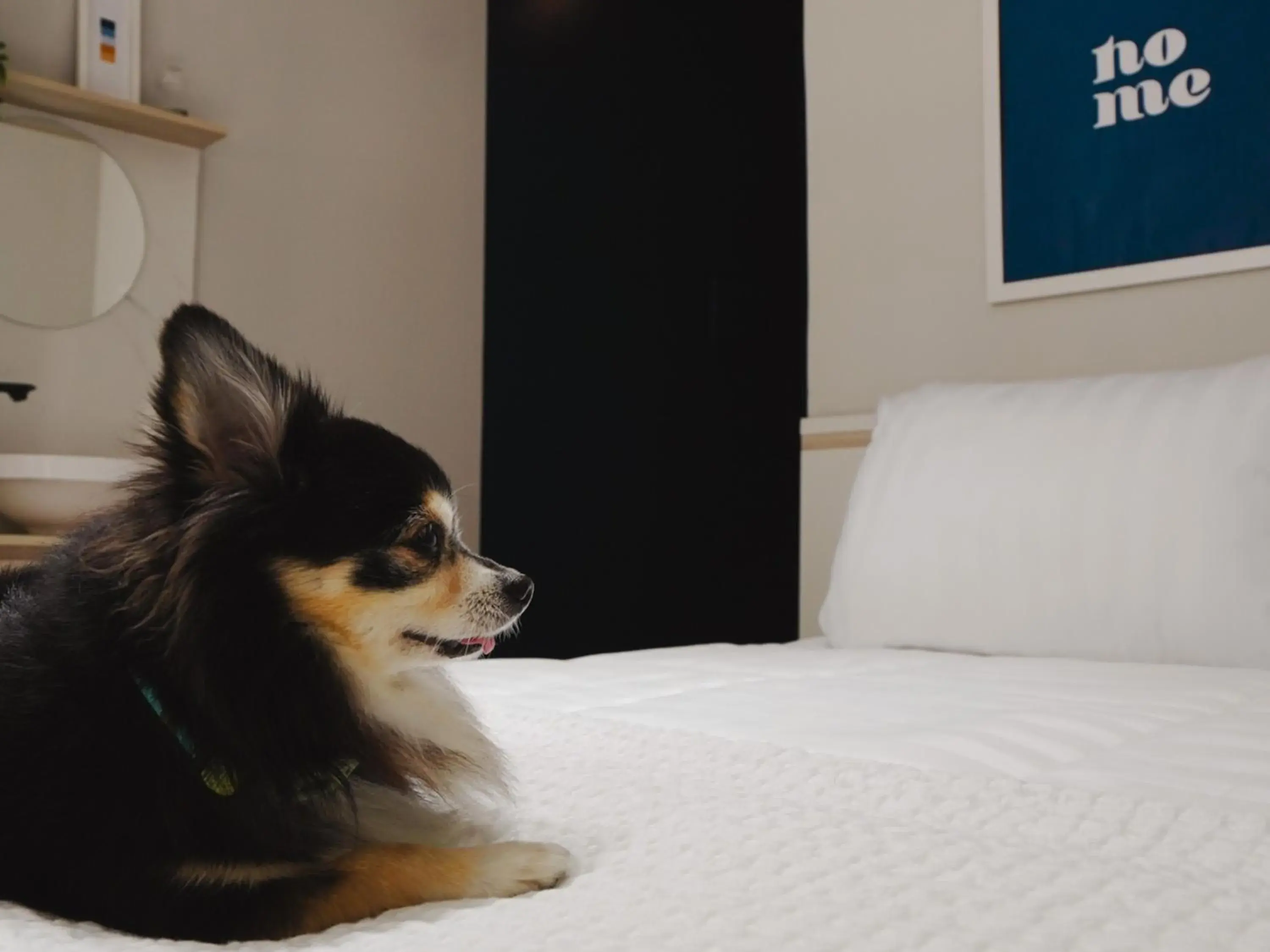 Bed in Apê Metrô Paraíso Bed in Apê Metrô Paraíso