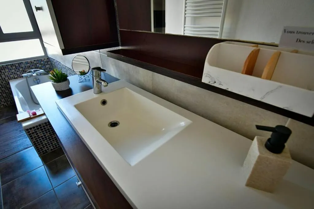 Grand appartement de haut standing en centre-ville