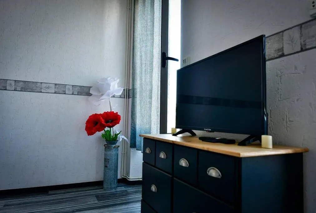 Grand appartement de haut standing en centre-ville