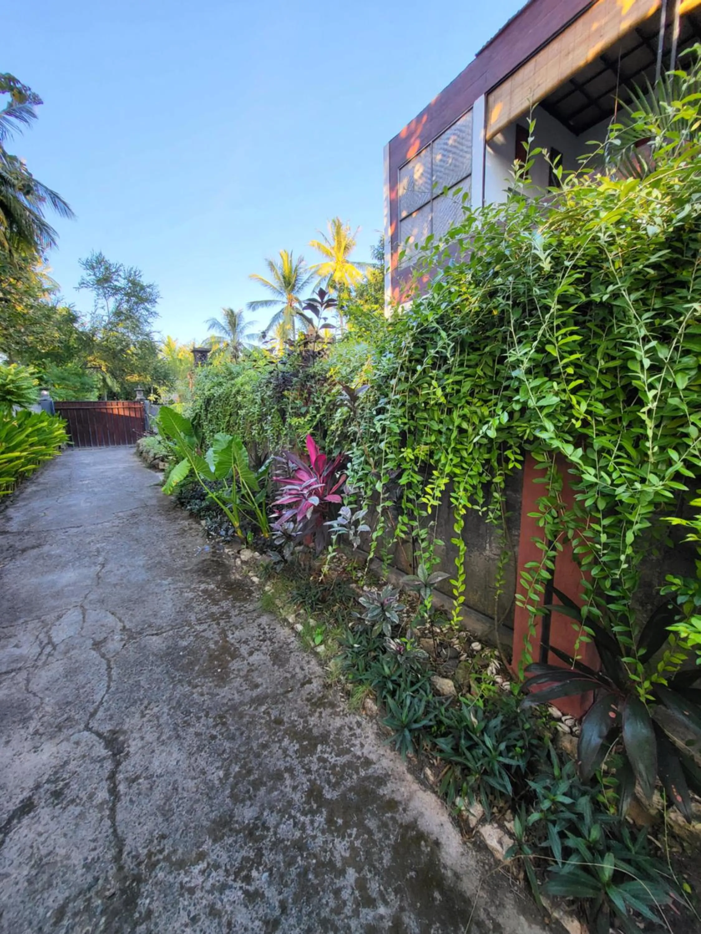 Spring in Exotic Backpackers