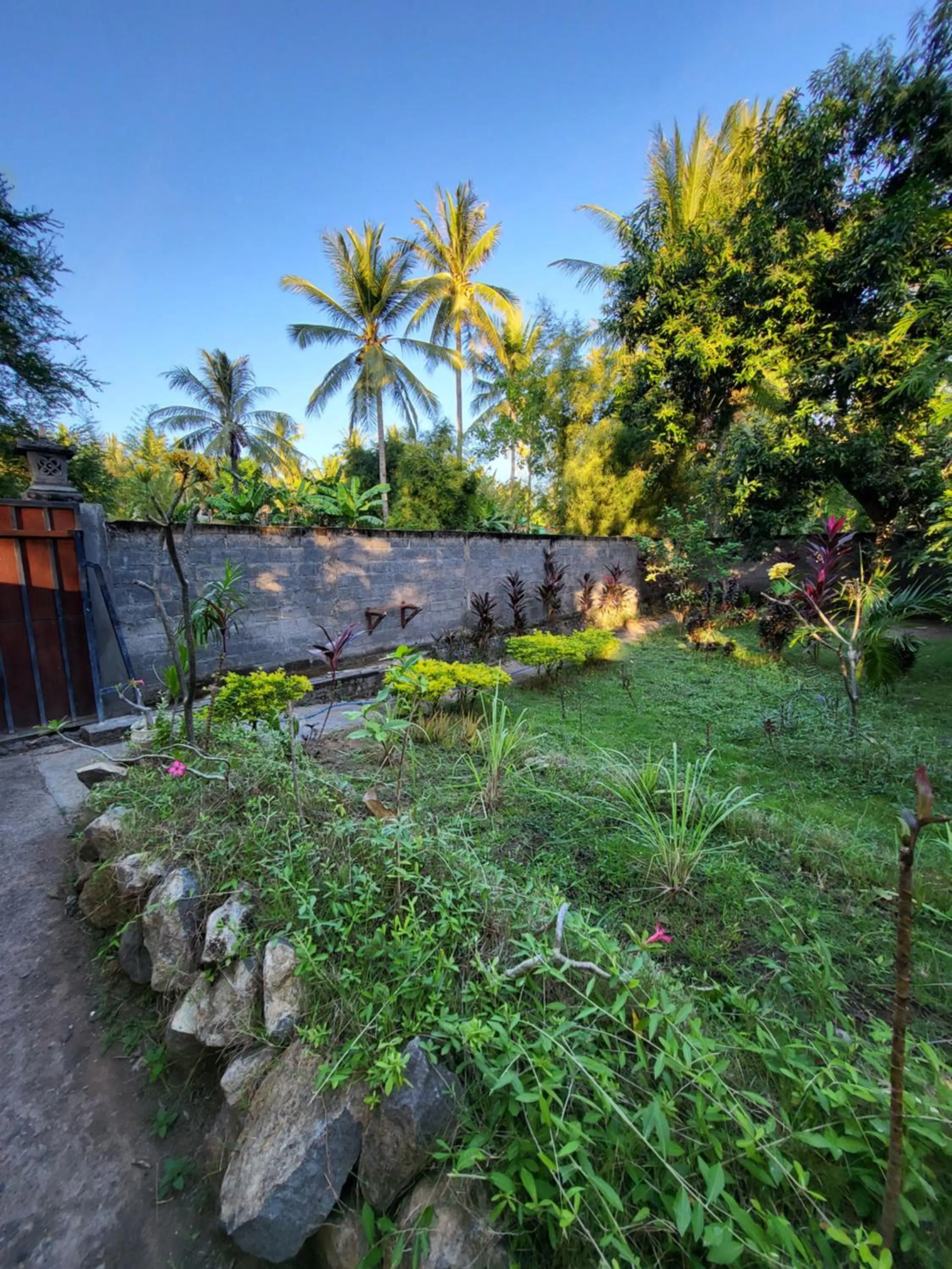 Spring in Exotic Backpackers