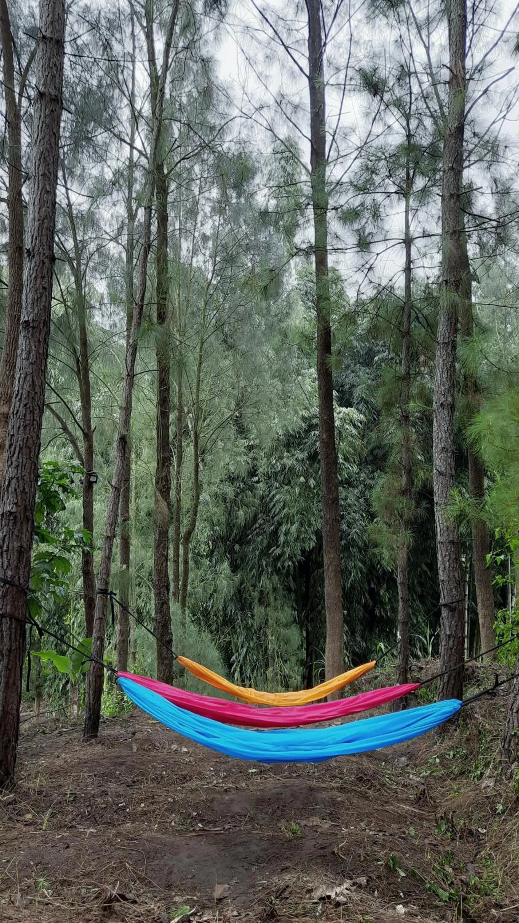 Day in Bromo Dormitory