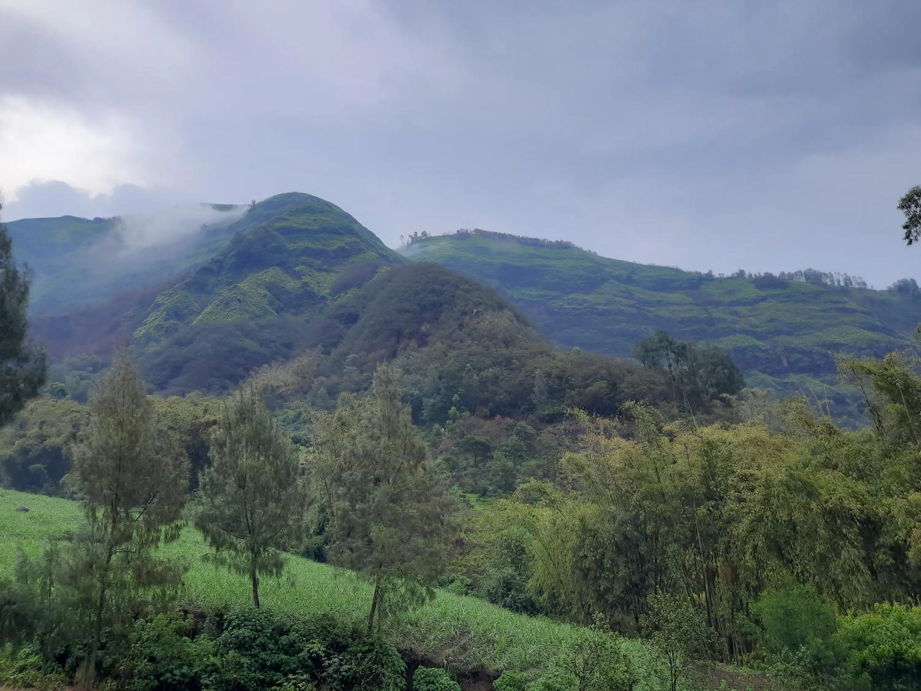 View (from property/room) in Bromo Dormitory