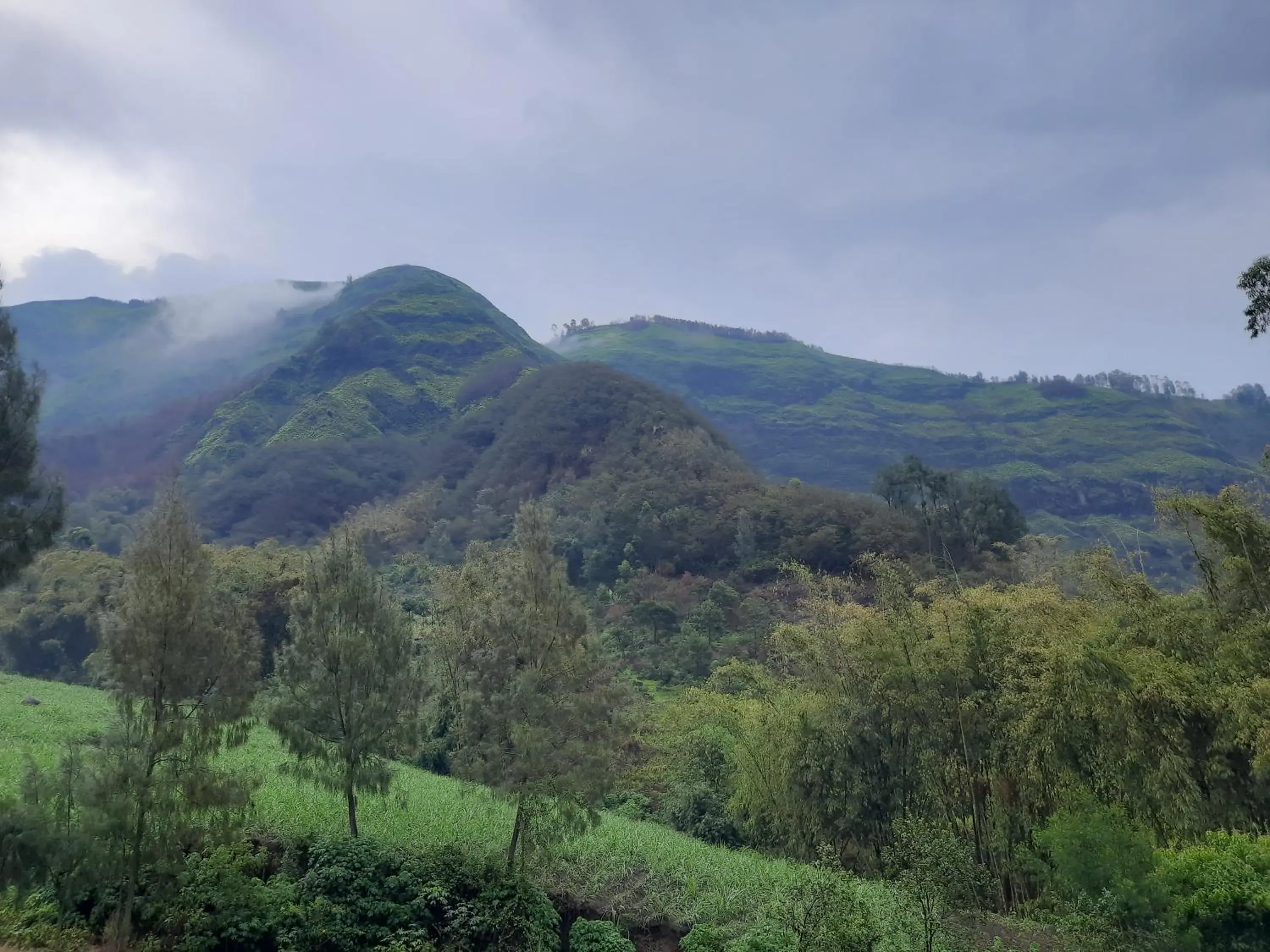 View (from property/room) in Bromo Dormitory View (from property/room) in Bromo Dormitory