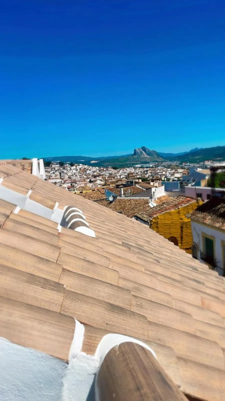 View (from property/room) in Hotel Apartamentos Antequera