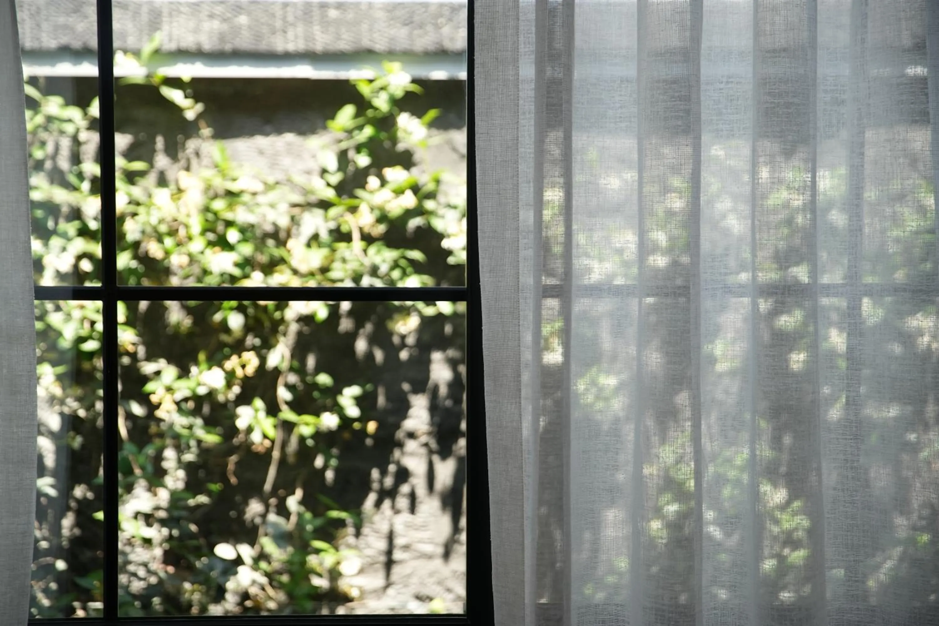 Garden view in The Local House Alaçatı