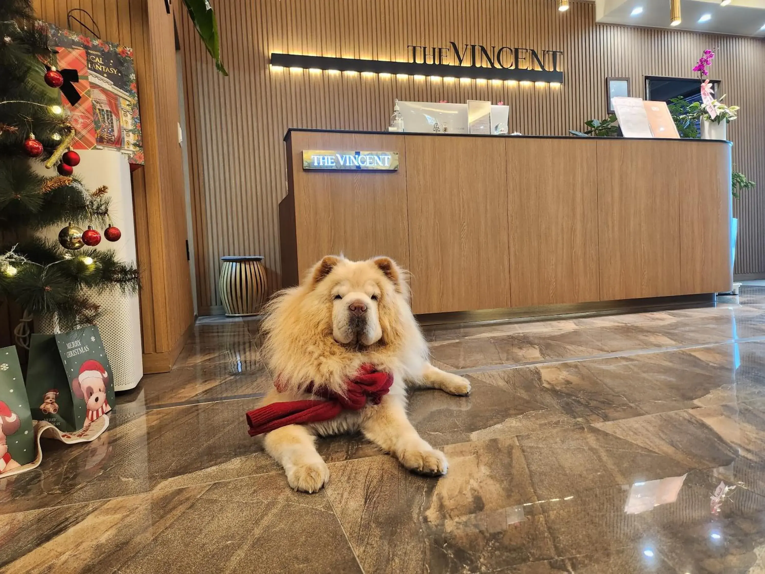 Lobby or reception in Jeonju Hotel The Vincent Lobby or reception in Jeonju Hotel The Vincent