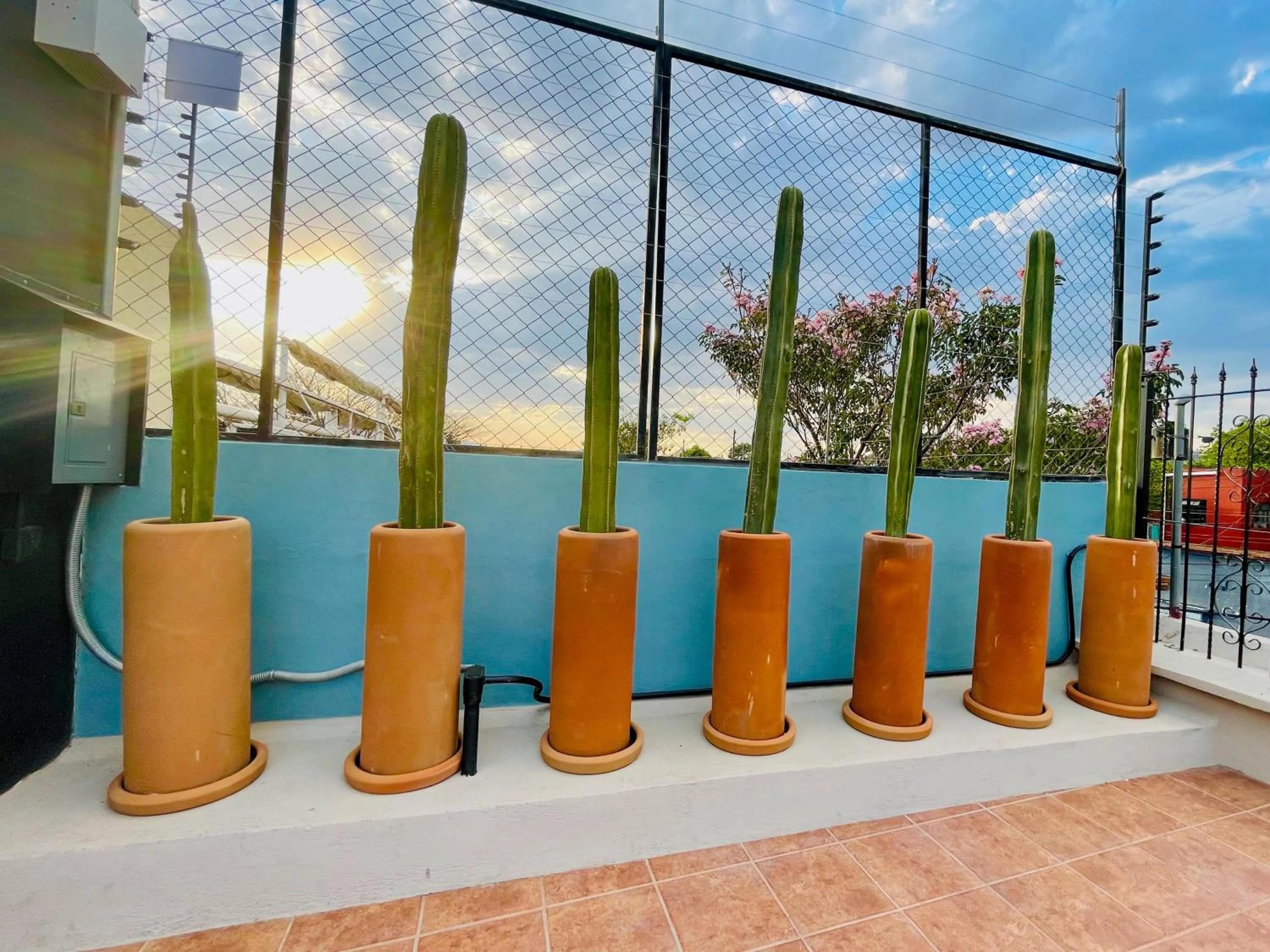 Patio in Suites Patio Antequera