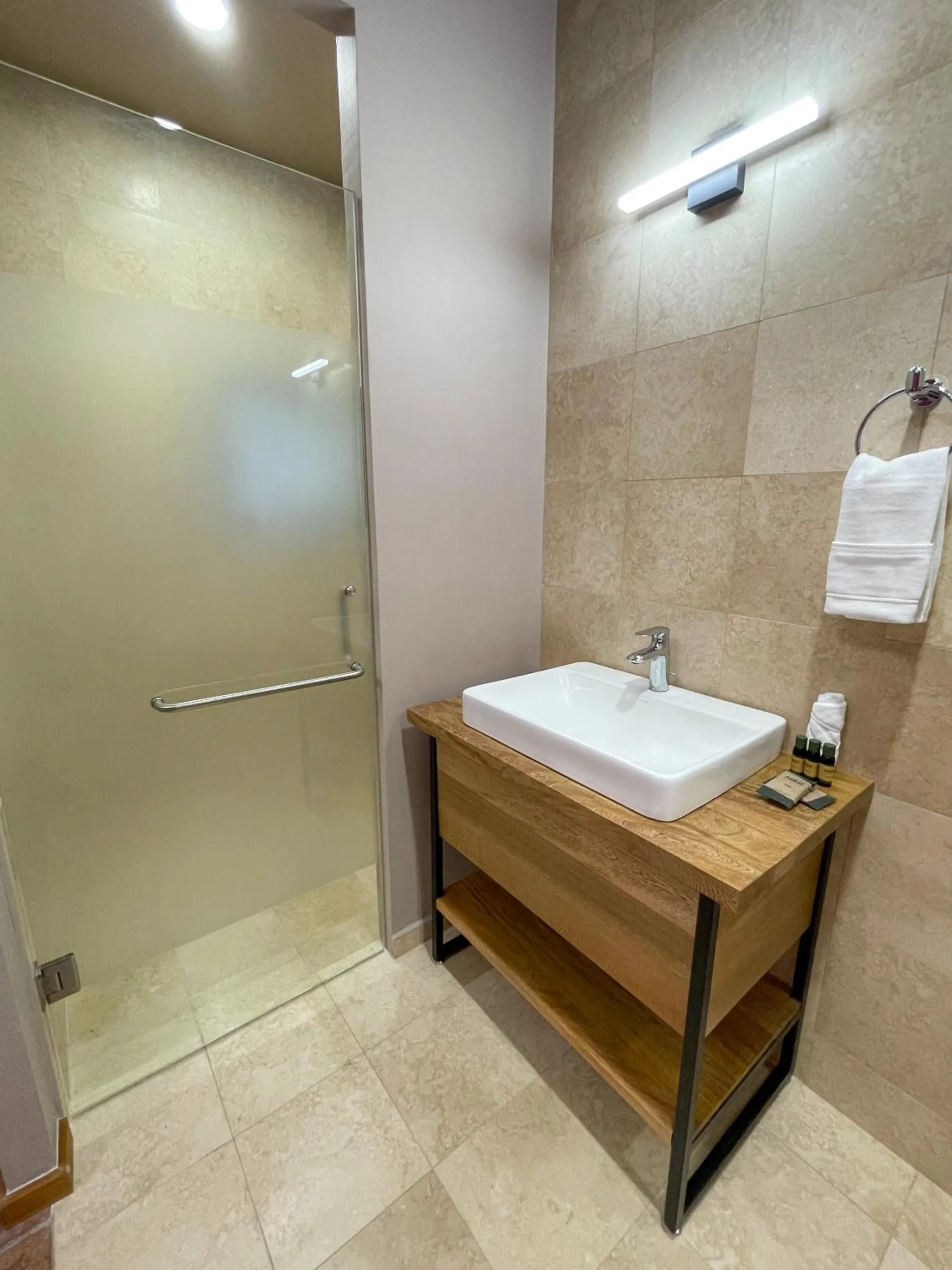 Shower in Suites Patio Antequera