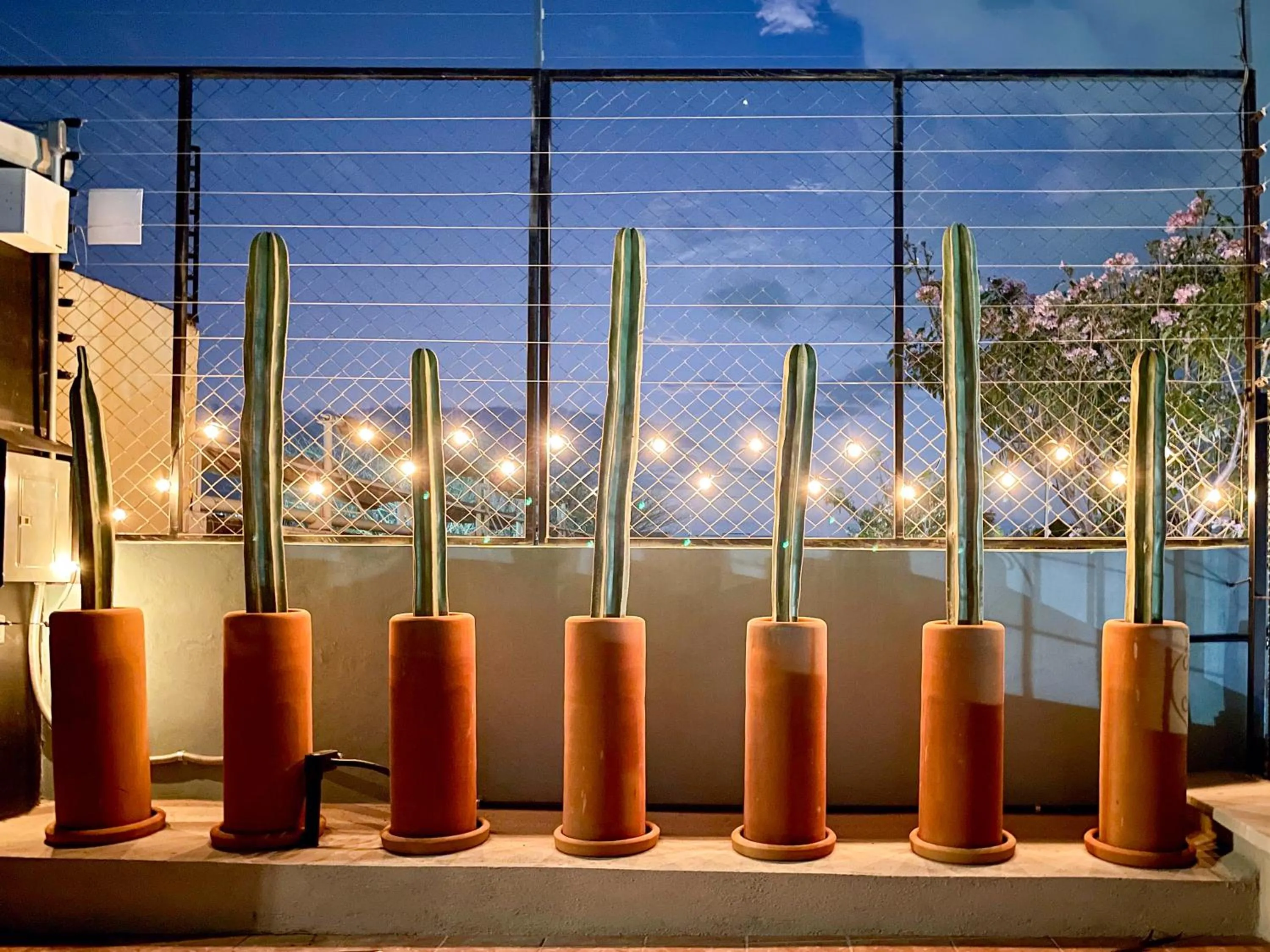 Balcony/Terrace in Suites Patio Antequera