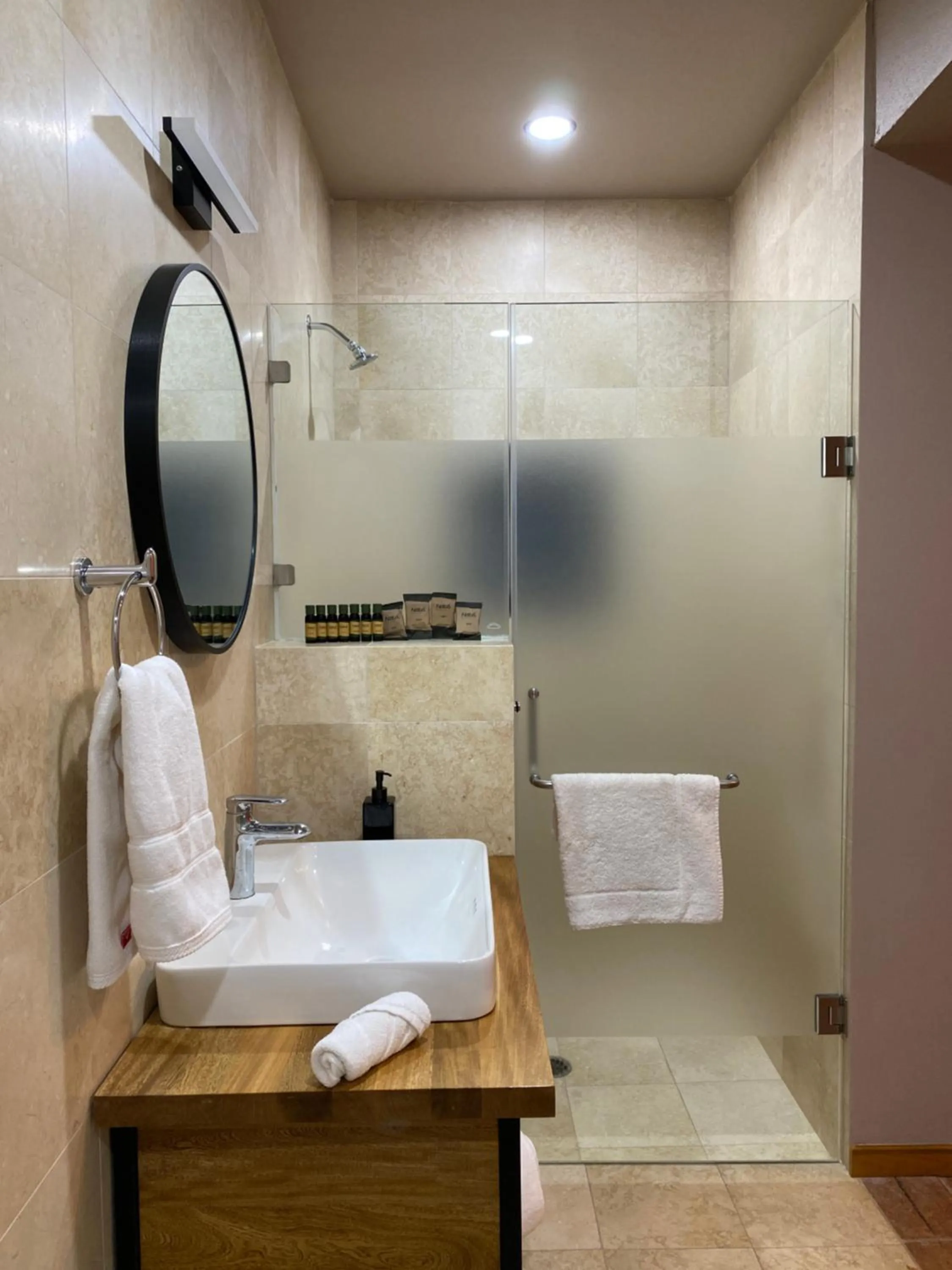 Shower in Suites Patio Antequera
