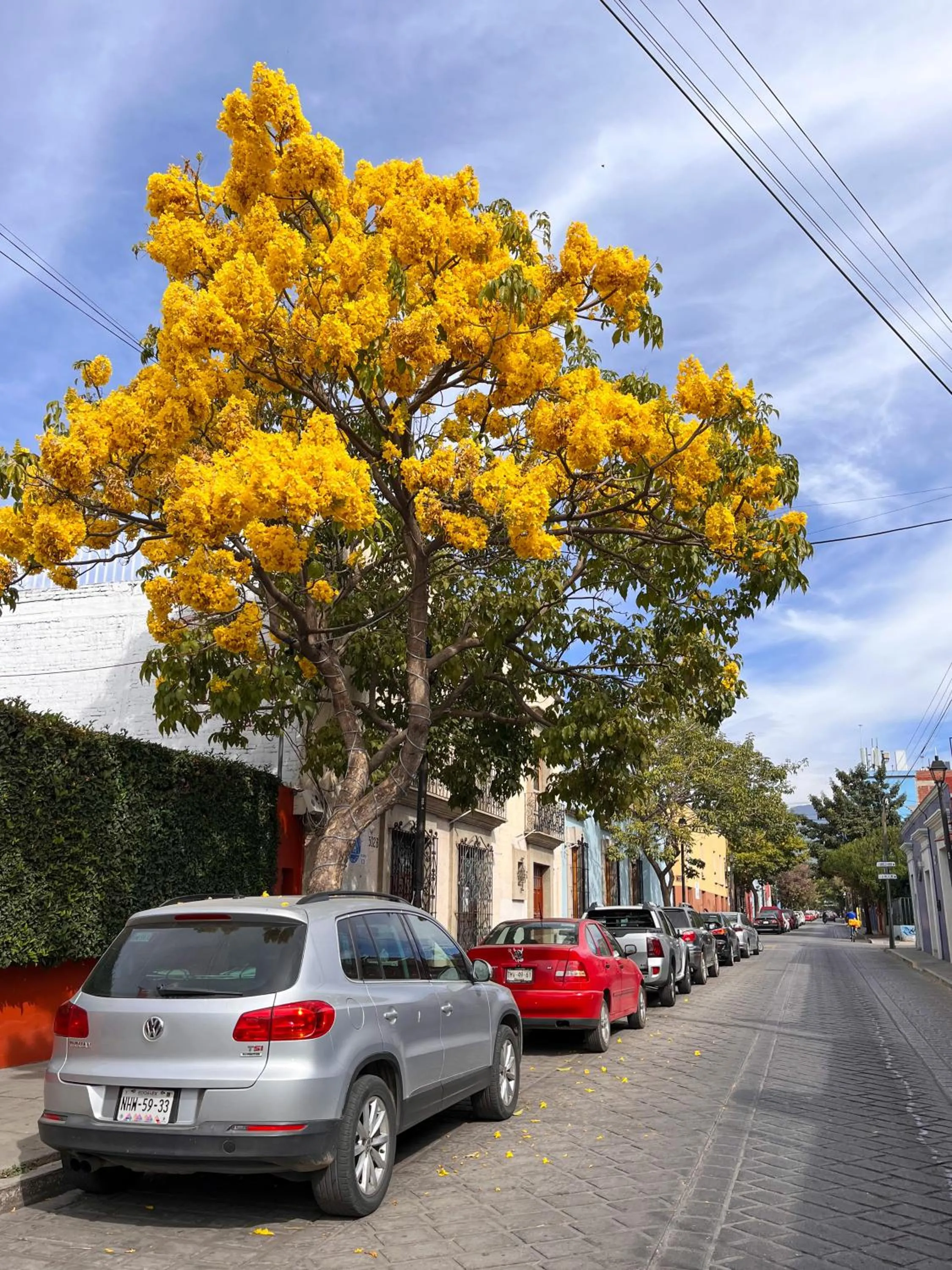 Area and facilities in Suites Patio Antequera