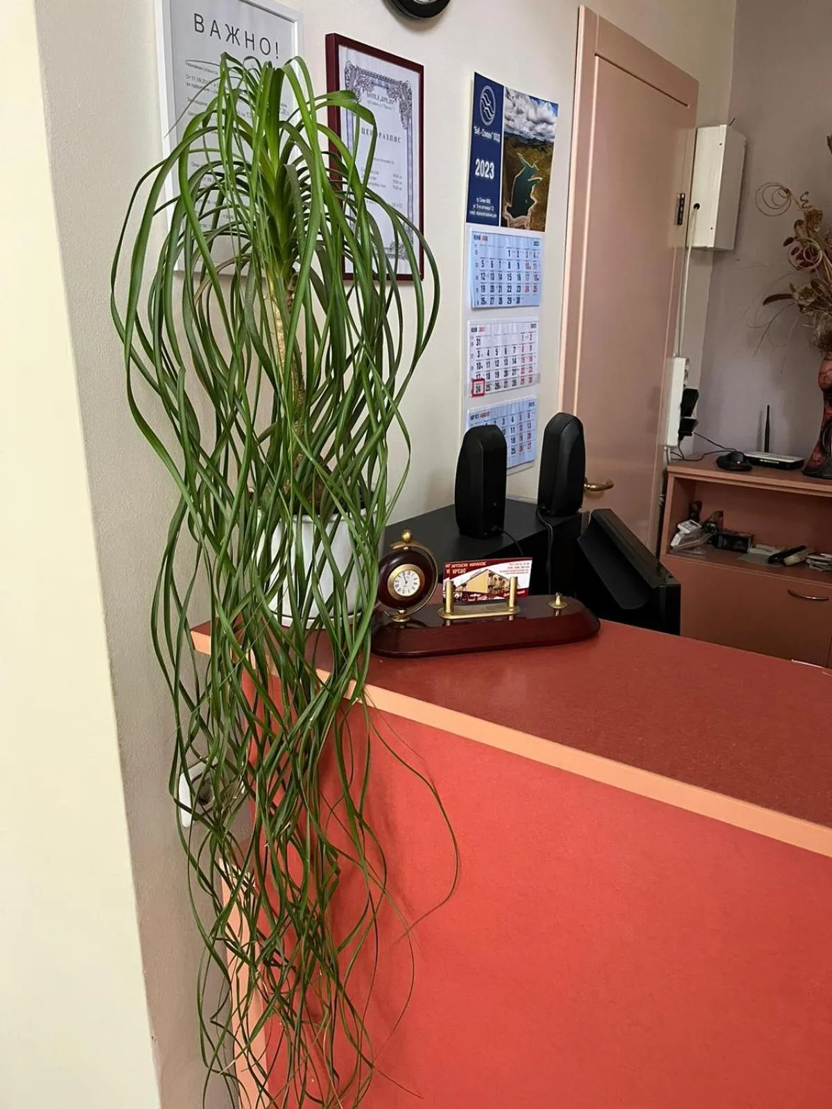 Lobby or reception in HOTEL KREDO