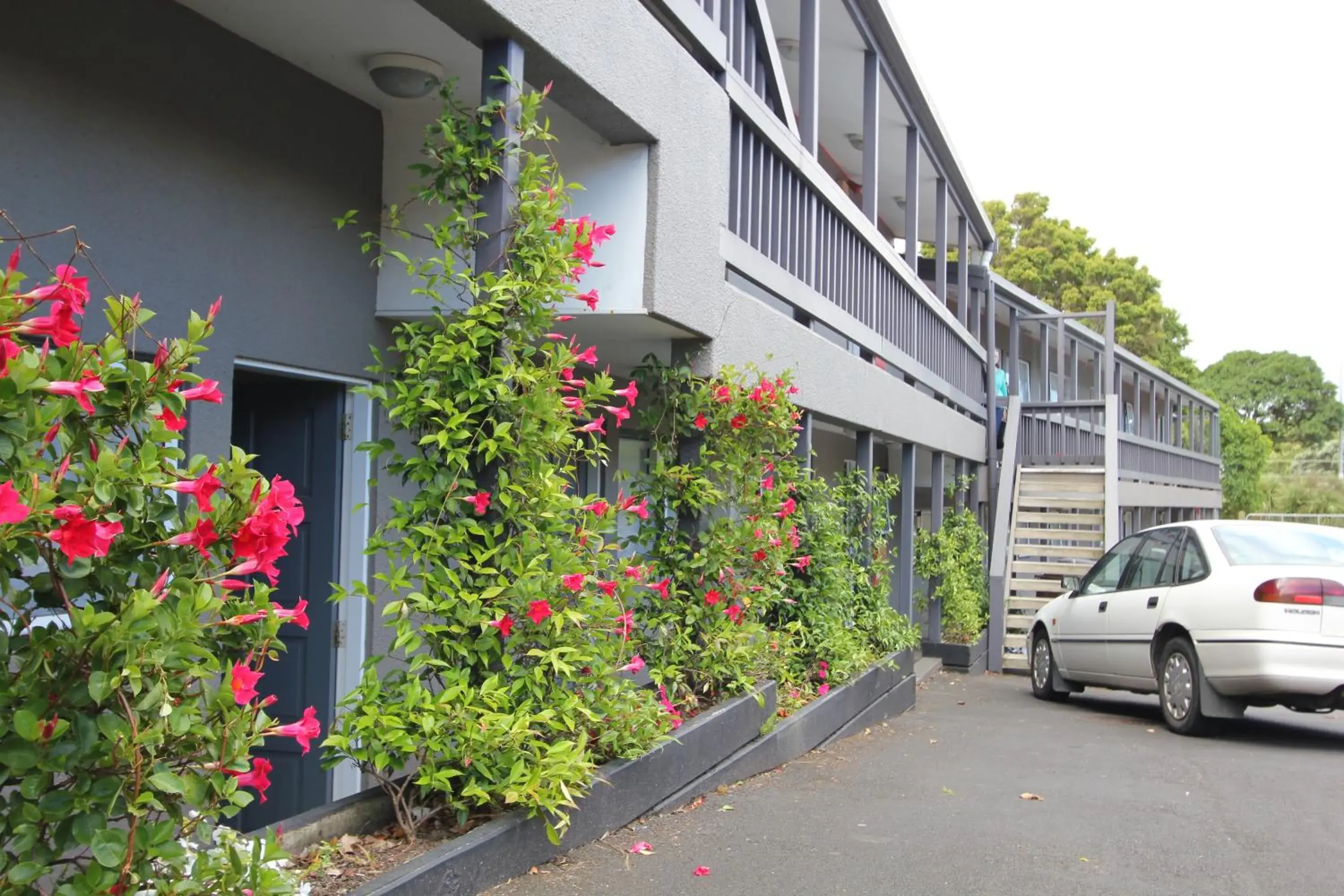 Property Building in Motel 80