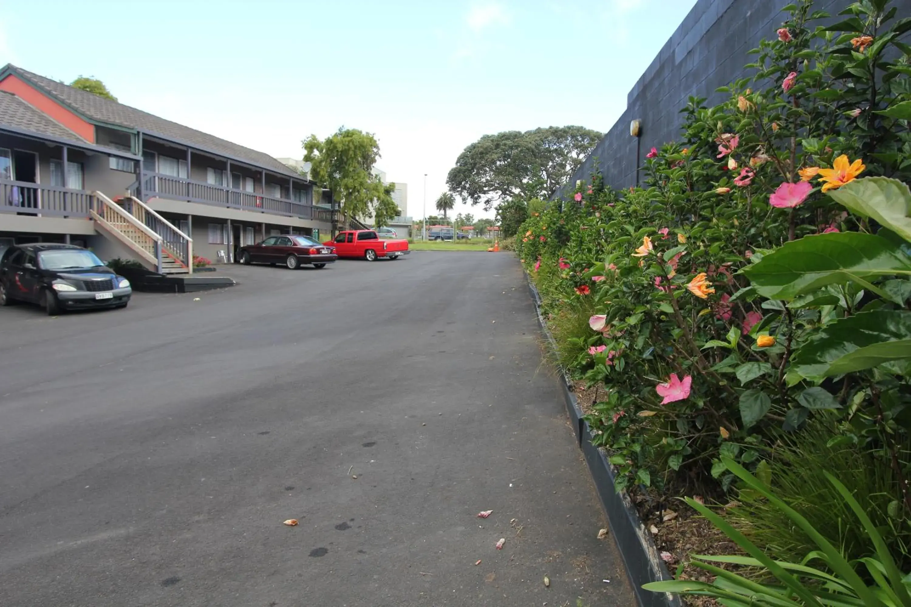 Garden view in Motel 80