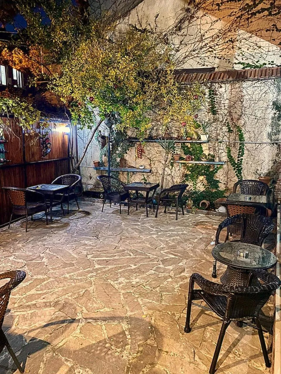 Patio in Lotus Hotel